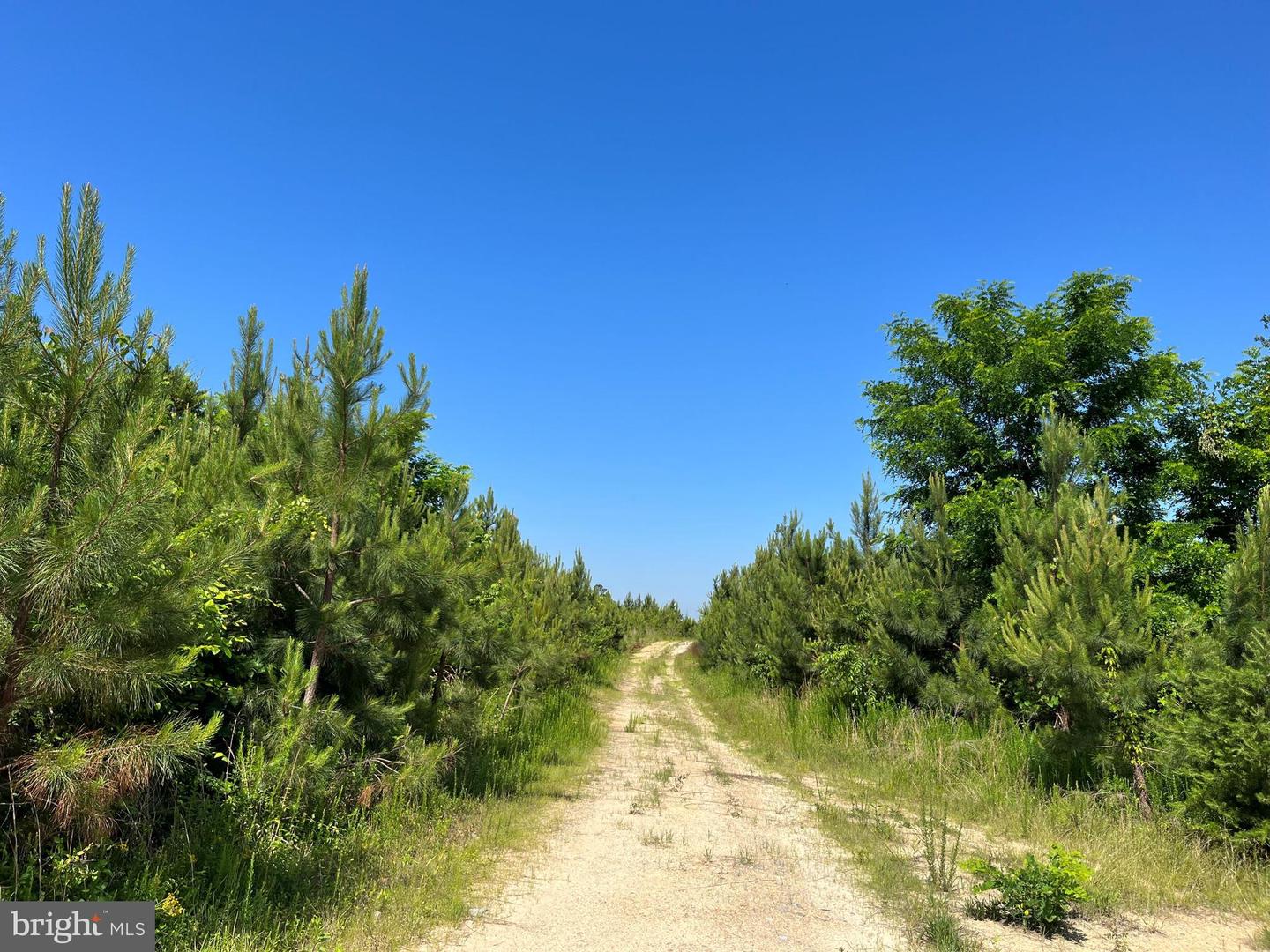 MOUNTAIN CREEK ROAD (RT. 628) (BK3208-3 TRACT), MEHERRIN, Virginia 23954, ,Farm,For sale,MOUNTAIN CREEK ROAD (RT. 628) (BK3208-3 TRACT),VAPE2000088 MLS # VAPE2000088