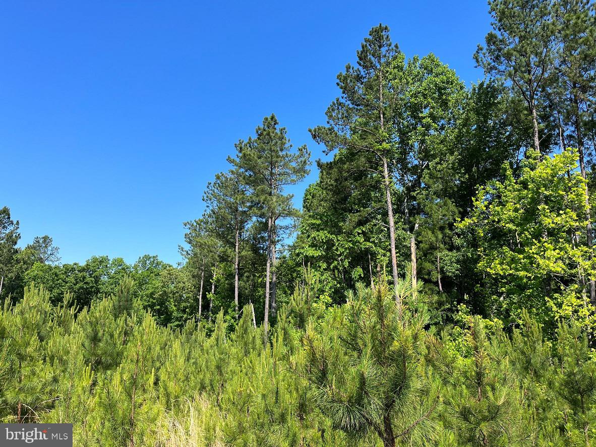MOUNTAIN CREEK ROAD (RT. 628) (BK3208-3 TRACT), MEHERRIN, Virginia 23954, ,Farm,For sale,MOUNTAIN CREEK ROAD (RT. 628) (BK3208-3 TRACT),VAPE2000088 MLS # VAPE2000088