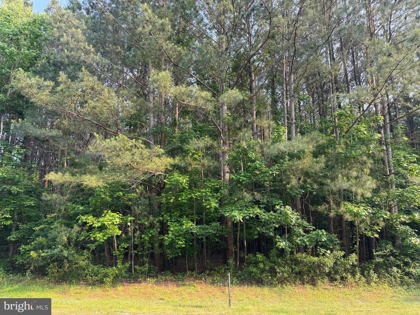 LOT 53 EMERALD COVE RD, REEDVILLE, Virginia 22539, ,Land,For sale,LOT 53 EMERALD COVE RD,VANV2001640 MLS # VANV2001640