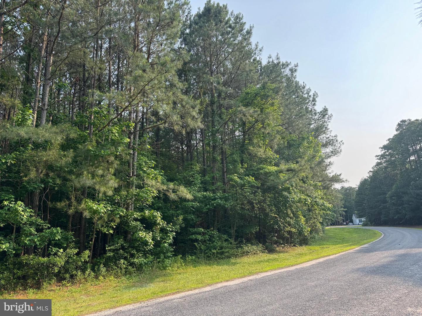 LOT 53 EMERALD COVE RD, REEDVILLE, Virginia 22539, ,Land,For sale,LOT 53 EMERALD COVE RD,VANV2001640 MLS # VANV2001640