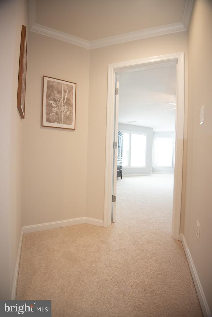 25125 ANDES TER, ALDIE, Virginia 20105, 3 Bedrooms Bedrooms, ,2 BathroomsBathrooms,Residential,For sale,25125 ANDES TER,VALO2098176 MLS # VALO2098176