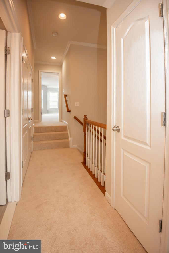 25125 ANDES TER, ALDIE, Virginia 20105, 3 Bedrooms Bedrooms, ,2 BathroomsBathrooms,Residential,For sale,25125 ANDES TER,VALO2098176 MLS # VALO2098176