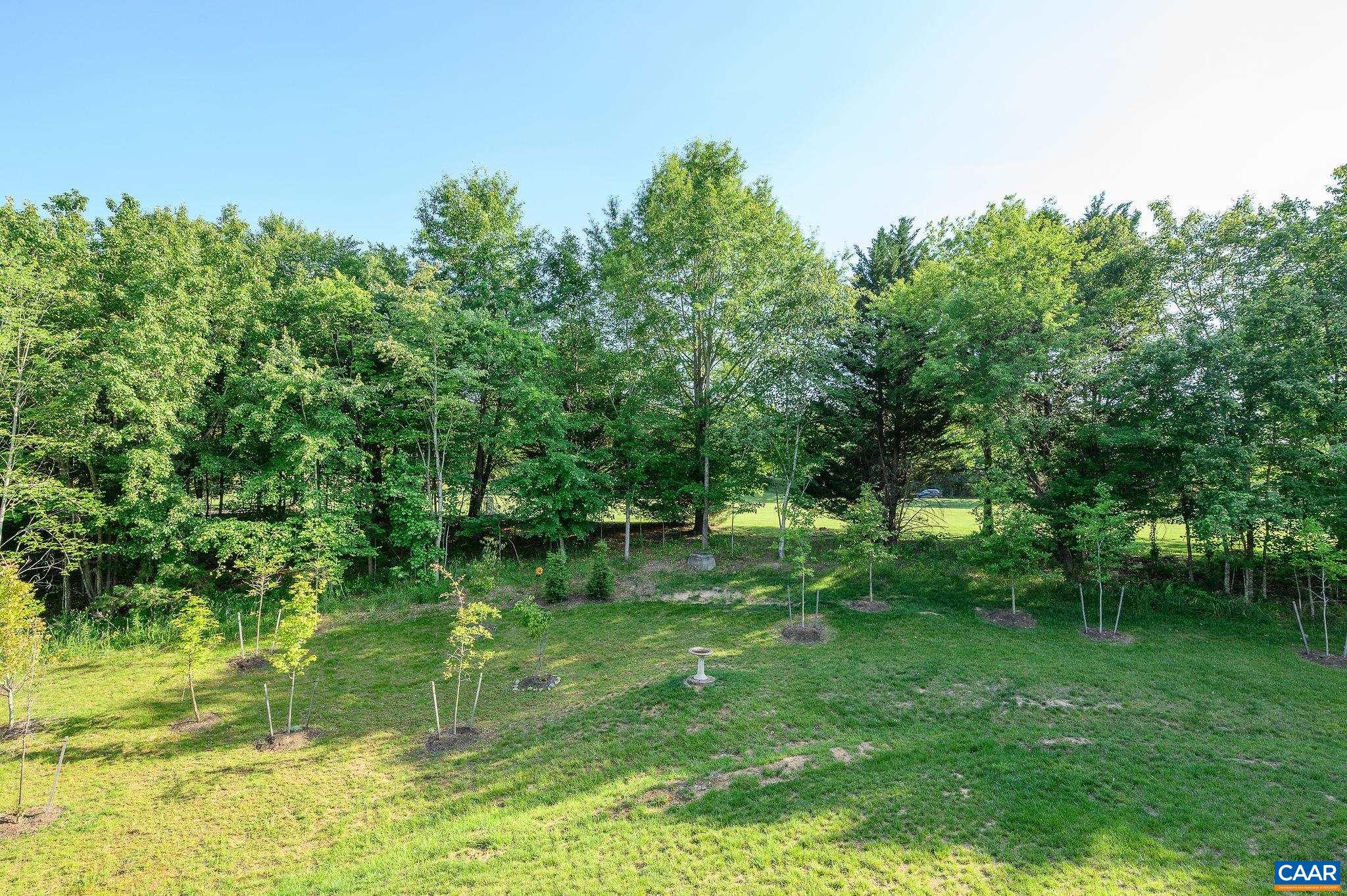 1942 LOIS LN, CHARLOTTESVILLE, Virginia 22911, 3 Bedrooms Bedrooms, ,2 BathroomsBathrooms,Residential,Bright, spacious 3BR, 2300 sq ft townhome in Fores,1942 LOIS LN,665425 MLS # 665425