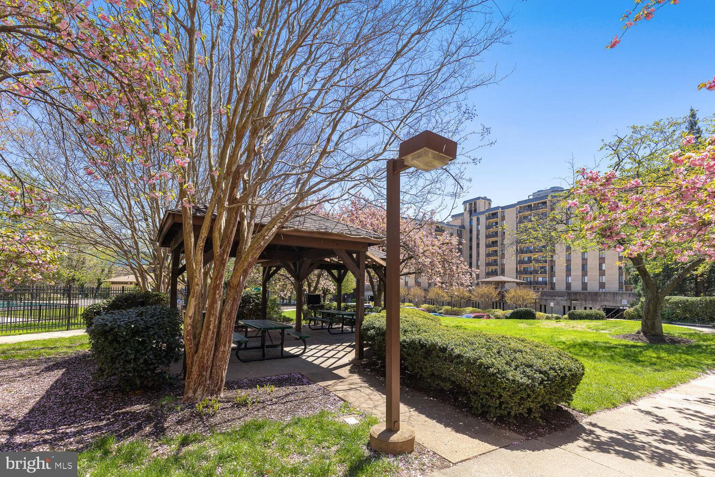 3100 S MANCHESTER ST #520, FALLS CHURCH, Virginia 22044, 1 Bedroom Bedrooms, ,1 BathroomBathrooms,Residential,For sale,3100 S MANCHESTER ST #520,VAFX2245144 MLS # VAFX2245144
