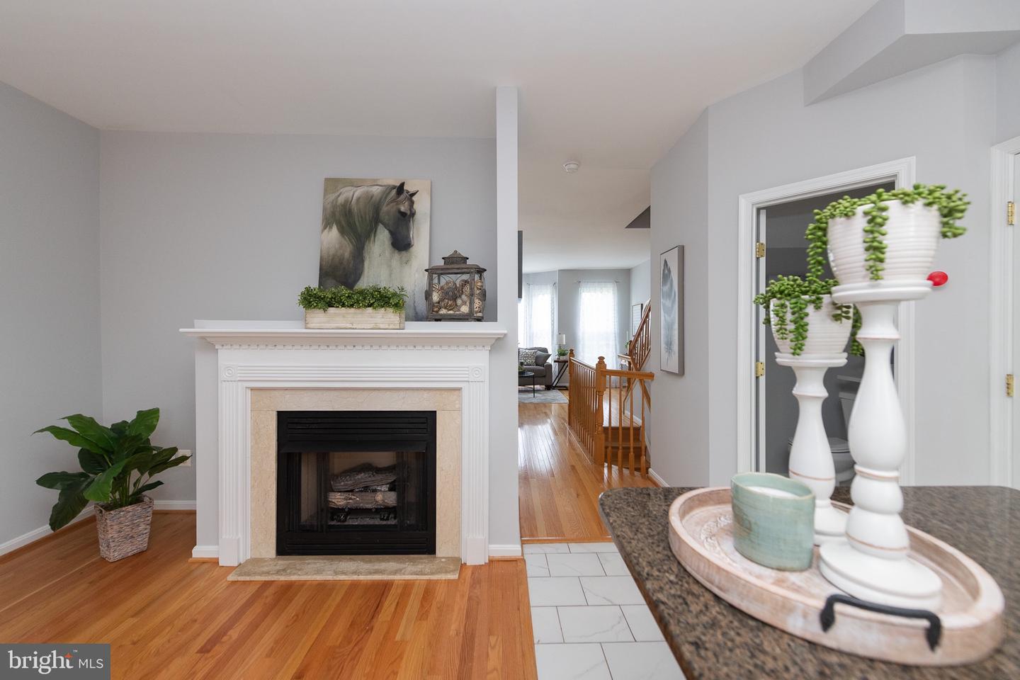 20976 KITTANNING LN, ASHBURN, Virginia 20147, 4 Bedrooms Bedrooms, ,2 BathroomsBathrooms,Residential,For sale,20976 KITTANNING LN,VALO2098820 MLS # VALO2098820