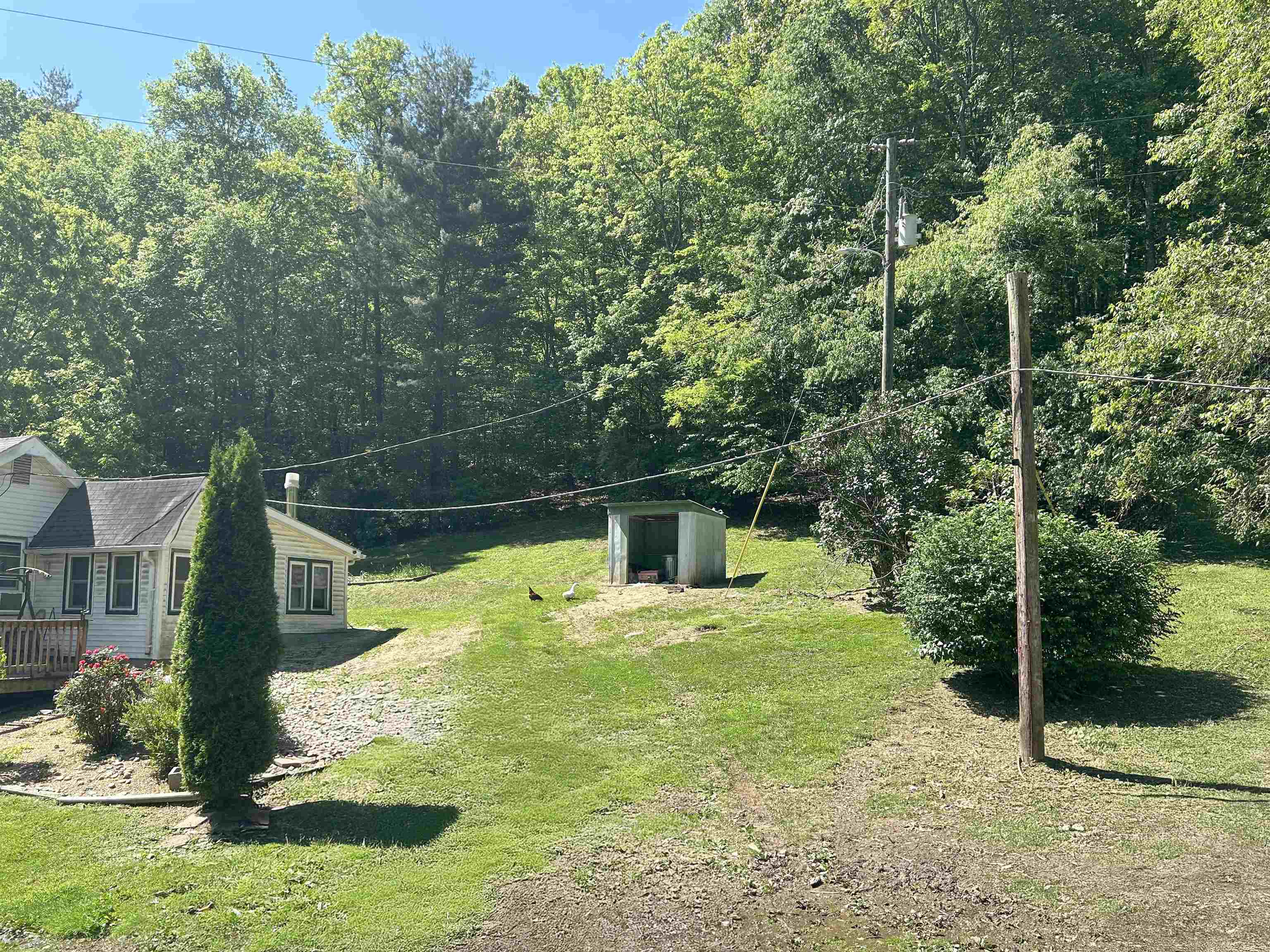83 PHEASANTY HOLLOW RD, WILLIAMSVILLE, Virginia 24487, 3 Bedrooms Bedrooms, ,1 BathroomBathrooms,Residential,83 PHEASANTY HOLLOW RD,665445 MLS # 665445