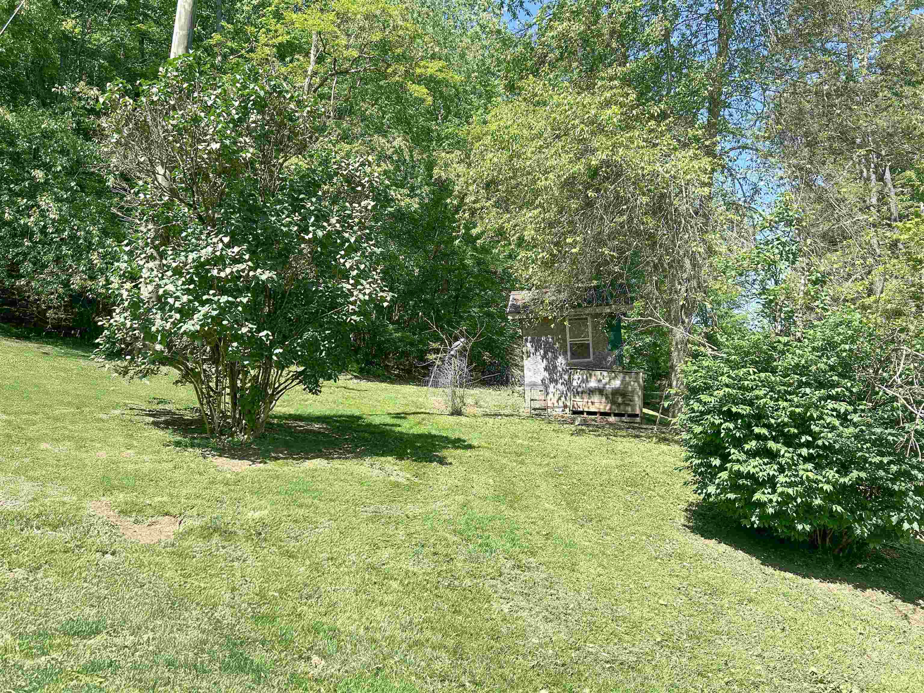 83 PHEASANTY HOLLOW RD, WILLIAMSVILLE, Virginia 24487, 3 Bedrooms Bedrooms, ,1 BathroomBathrooms,Residential,83 PHEASANTY HOLLOW RD,665445 MLS # 665445