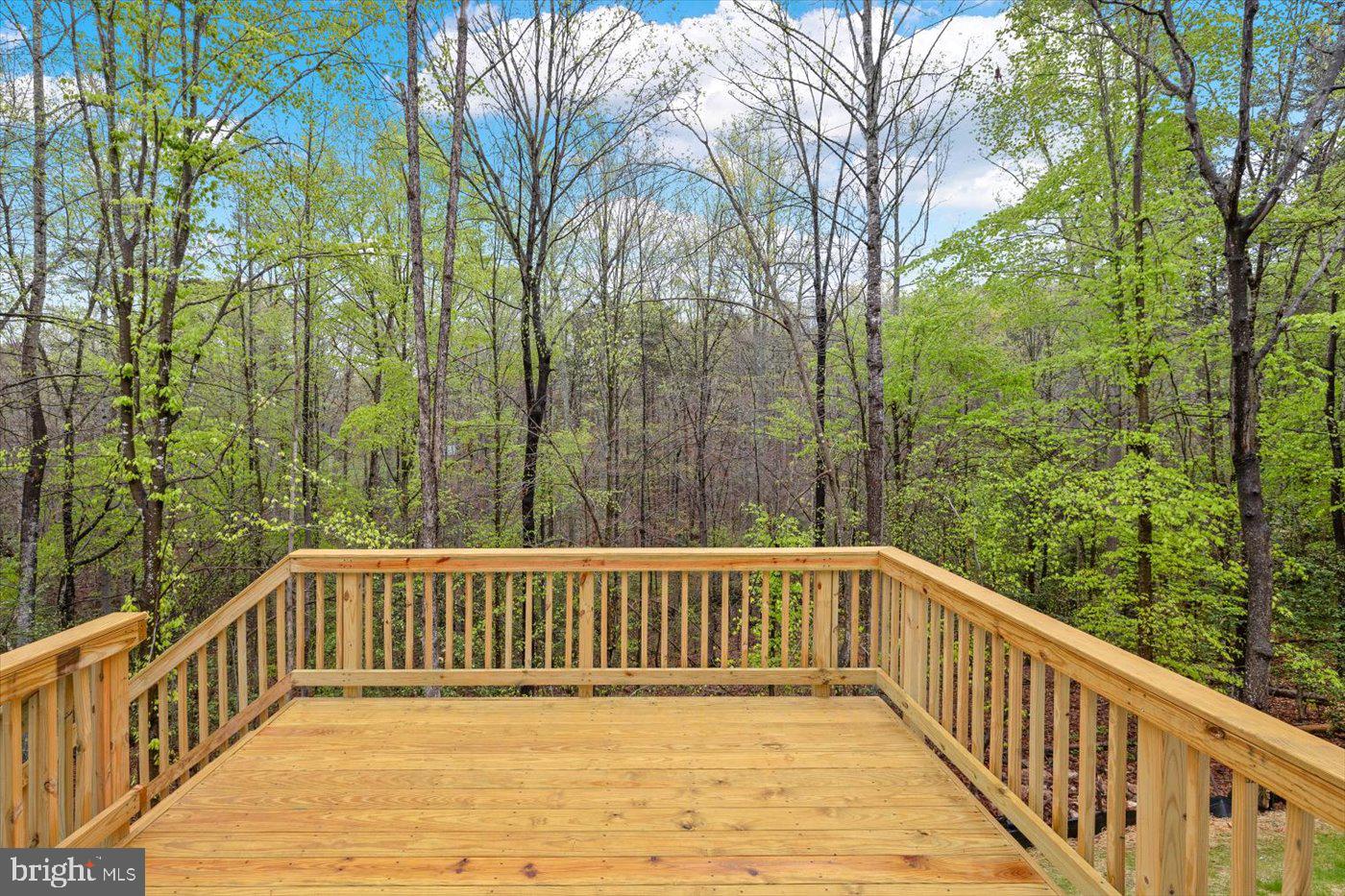 358 HEMLOCK LN, MINERAL, Virginia 23117, 3 Bedrooms Bedrooms, ,2 BathroomsBathrooms,Residential,For sale,358 HEMLOCK LN,VALA2007984 MLS # VALA2007984