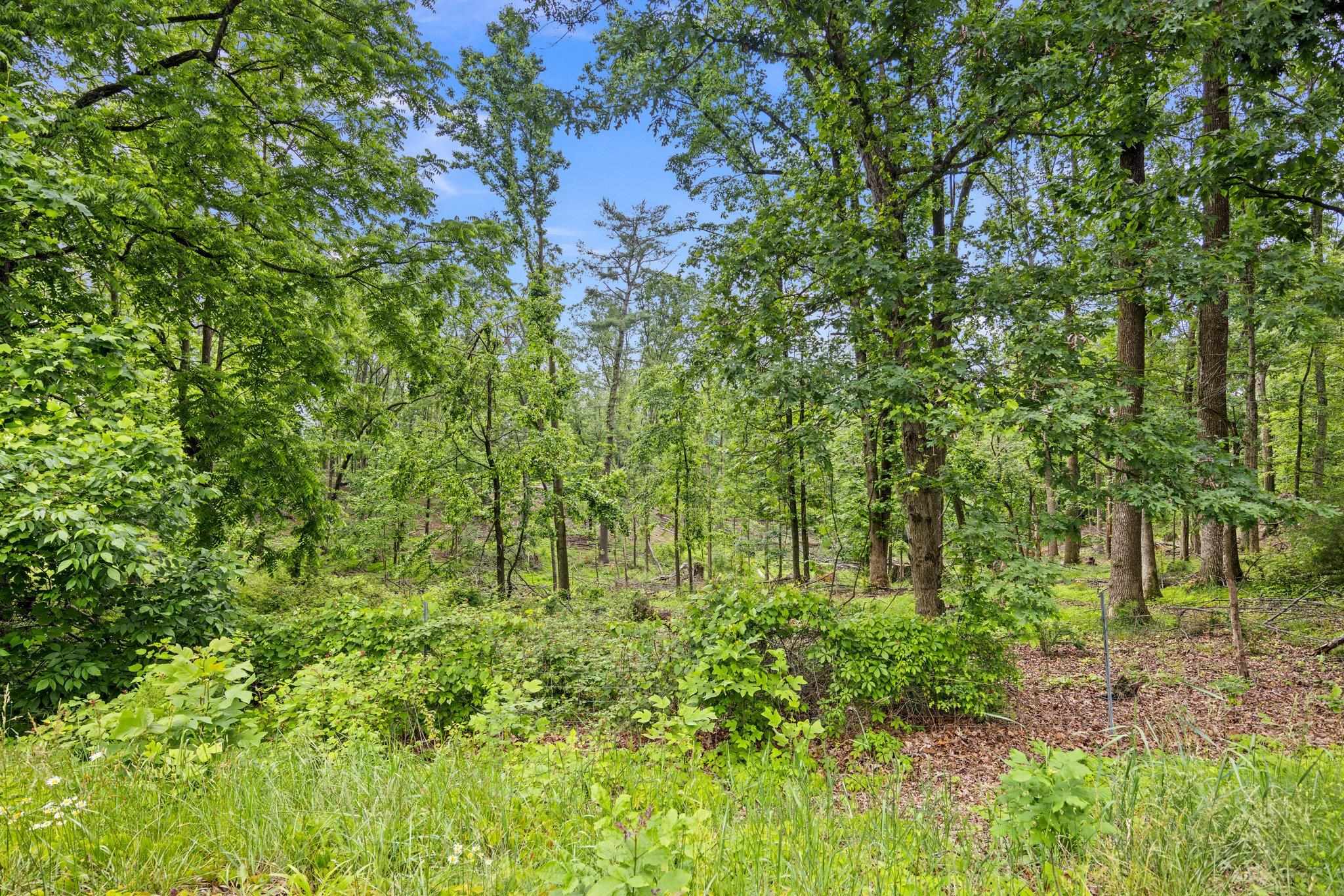 6596 MAYBERRY RD, SINGERS GLEN, Virginia 22850, 4 Bedrooms Bedrooms, ,1 BathroomBathrooms,Residential,6596 MAYBERRY RD,665453 MLS # 665453
