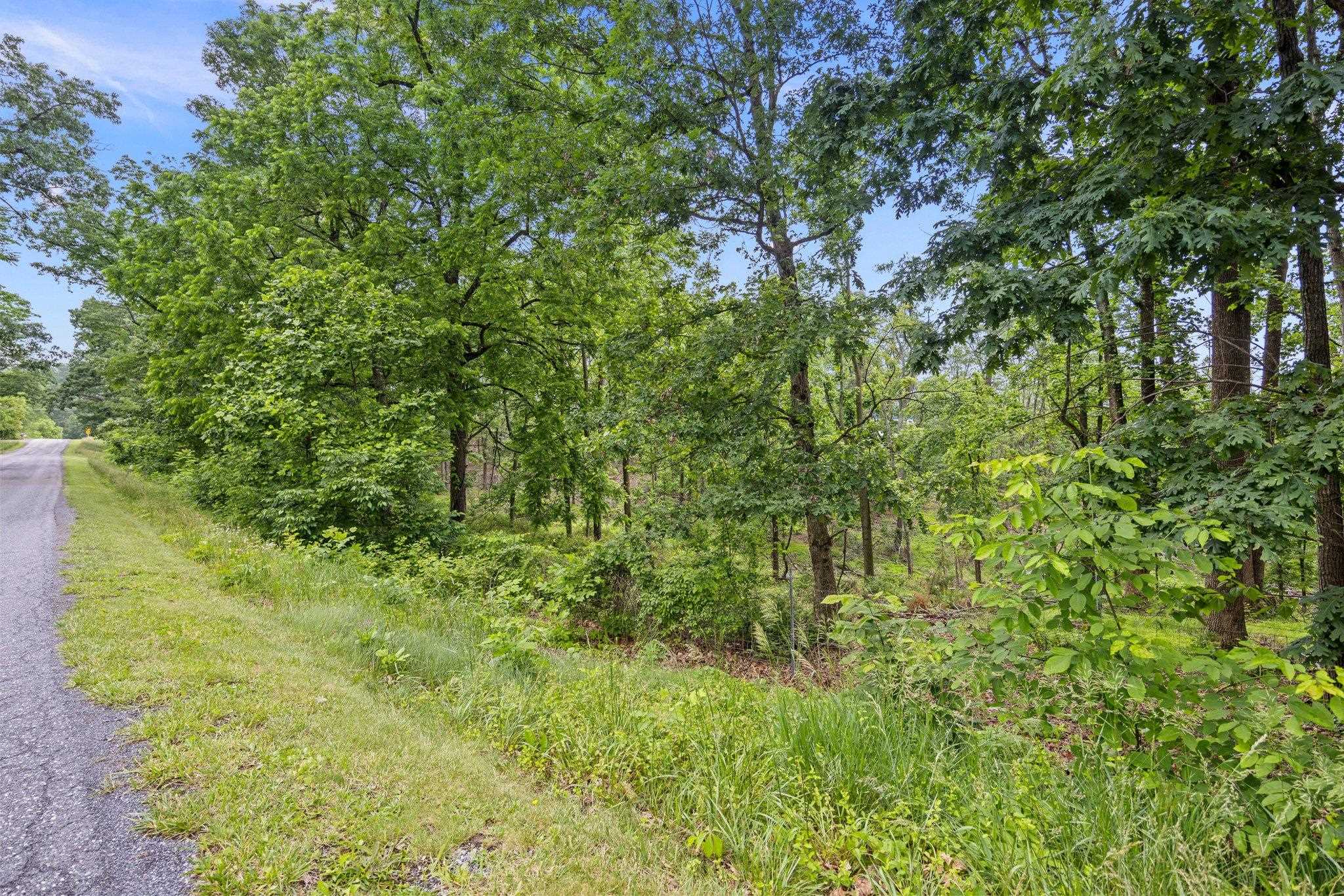 6596 MAYBERRY RD, SINGERS GLEN, Virginia 22850, 4 Bedrooms Bedrooms, ,1 BathroomBathrooms,Residential,6596 MAYBERRY RD,665453 MLS # 665453