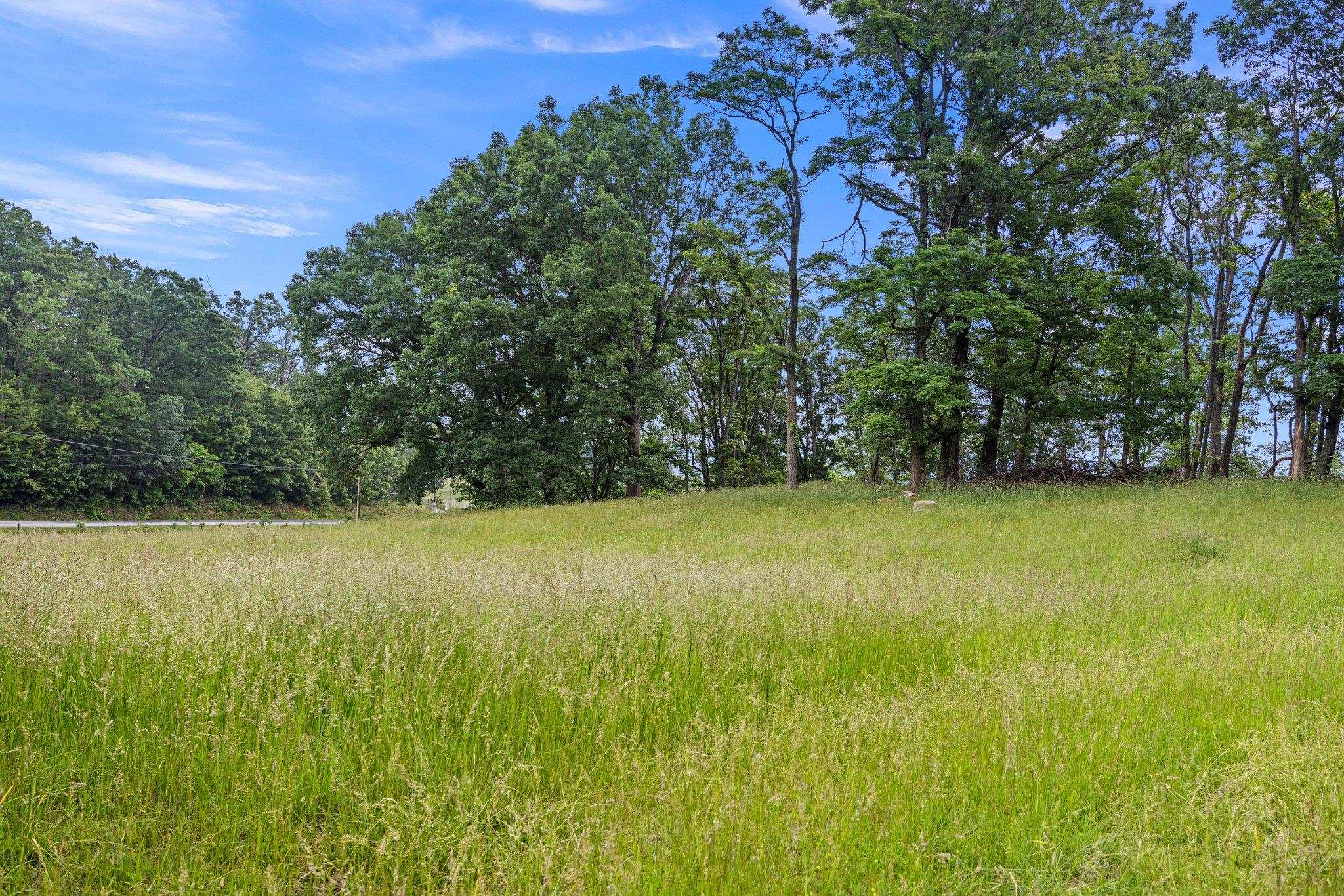6596 MAYBERRY RD, SINGERS GLEN, Virginia 22850, 4 Bedrooms Bedrooms, ,1 BathroomBathrooms,Residential,6596 MAYBERRY RD,665453 MLS # 665453