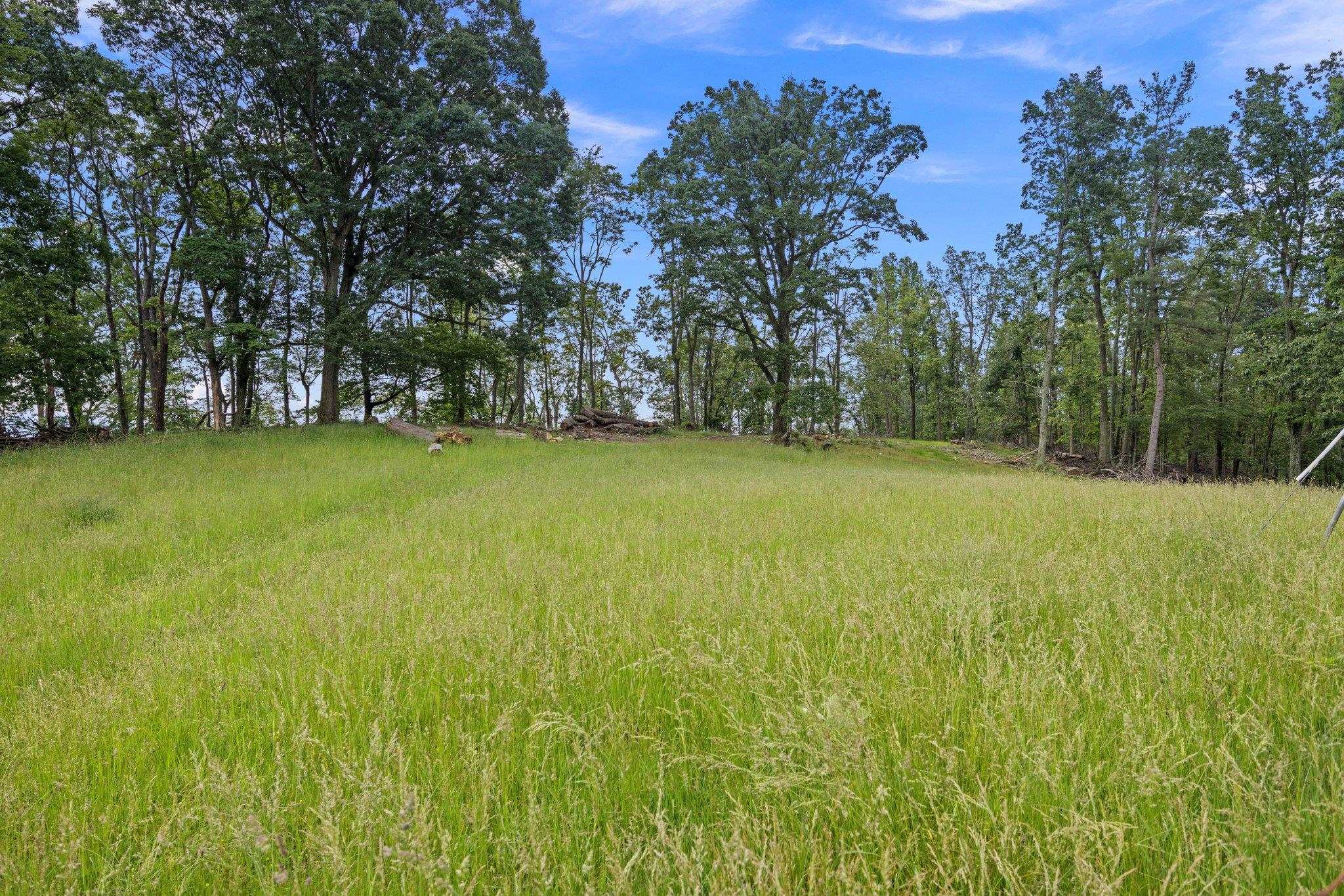 6596 MAYBERRY RD, SINGERS GLEN, Virginia 22850, 4 Bedrooms Bedrooms, ,1 BathroomBathrooms,Residential,6596 MAYBERRY RD,665453 MLS # 665453