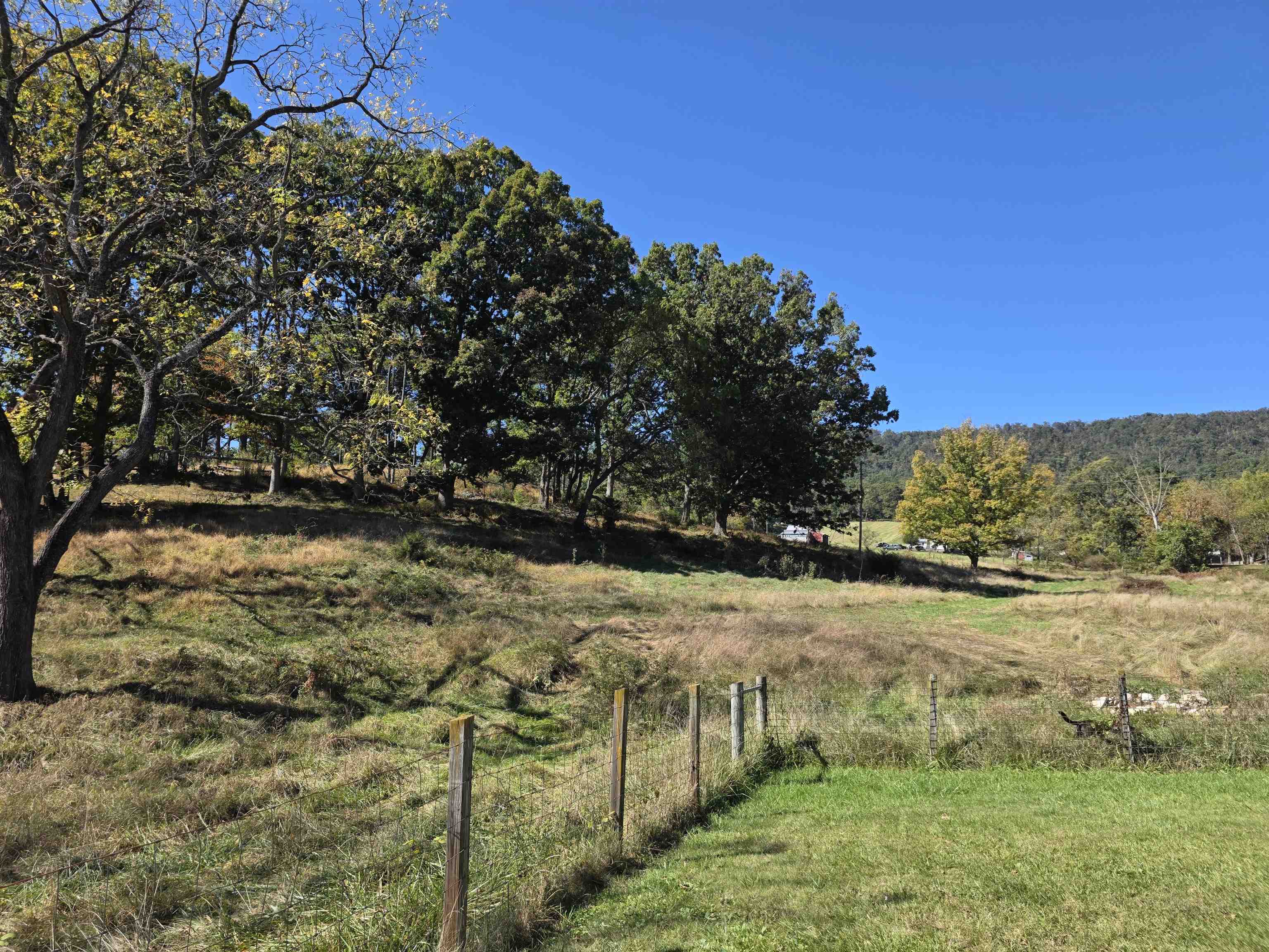 6596 MAYBERRY RD, SINGERS GLEN, Virginia 22850, 4 Bedrooms Bedrooms, ,1 BathroomBathrooms,Residential,6596 MAYBERRY RD,665453 MLS # 665453 6596 MAYBERRY RD, SINGERS GLEN, Virginia 22850, 4 Bedrooms Bedrooms, ,1 BathroomBathrooms,Residential,6596 MAYBERRY RD,665453 MLS # 665453