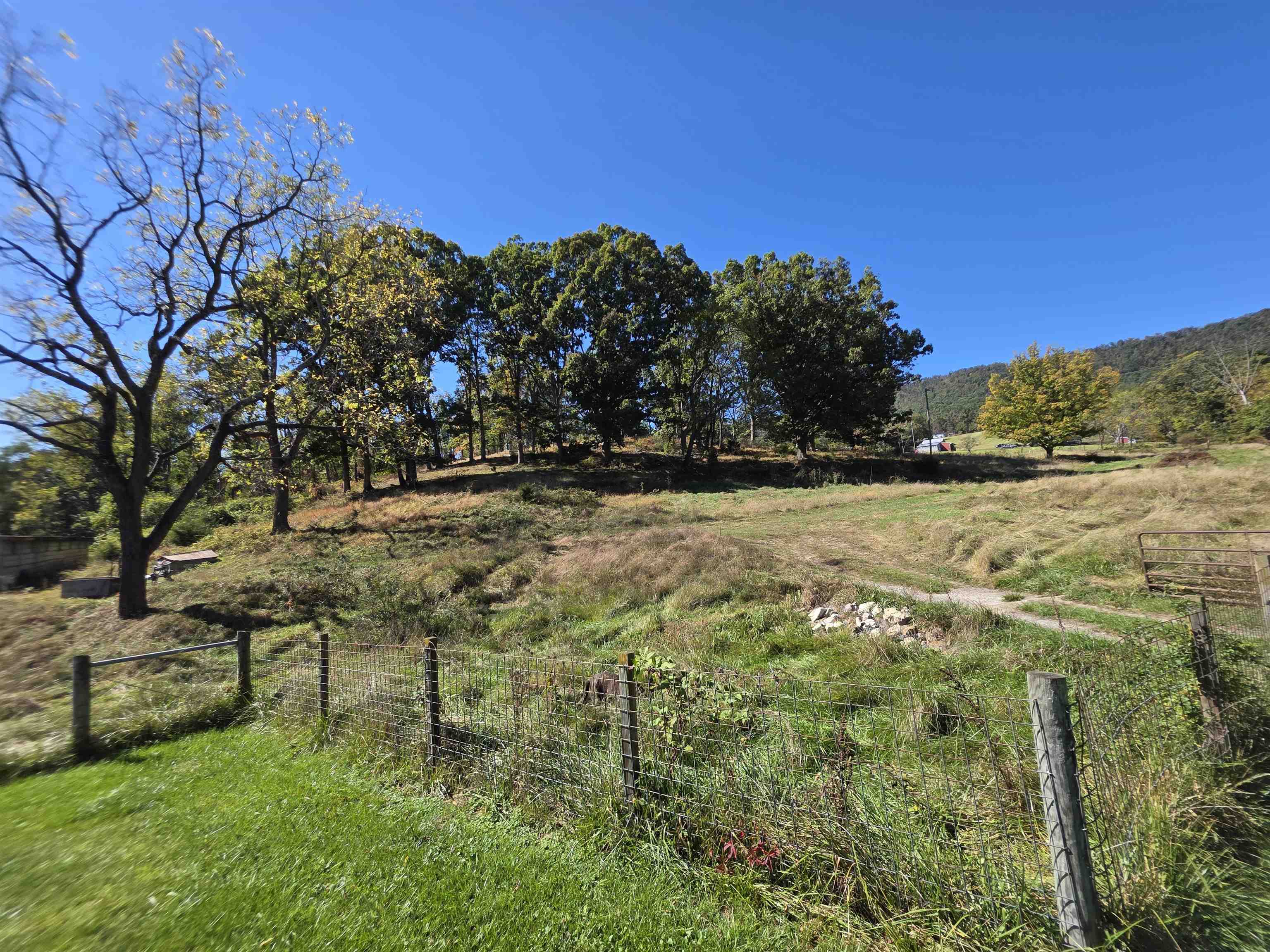 6596 MAYBERRY RD, SINGERS GLEN, Virginia 22850, 4 Bedrooms Bedrooms, ,1 BathroomBathrooms,Residential,6596 MAYBERRY RD,665453 MLS # 665453 6596 MAYBERRY RD, SINGERS GLEN, Virginia 22850, 4 Bedrooms Bedrooms, ,1 BathroomBathrooms,Residential,6596 MAYBERRY RD,665453 MLS # 665453