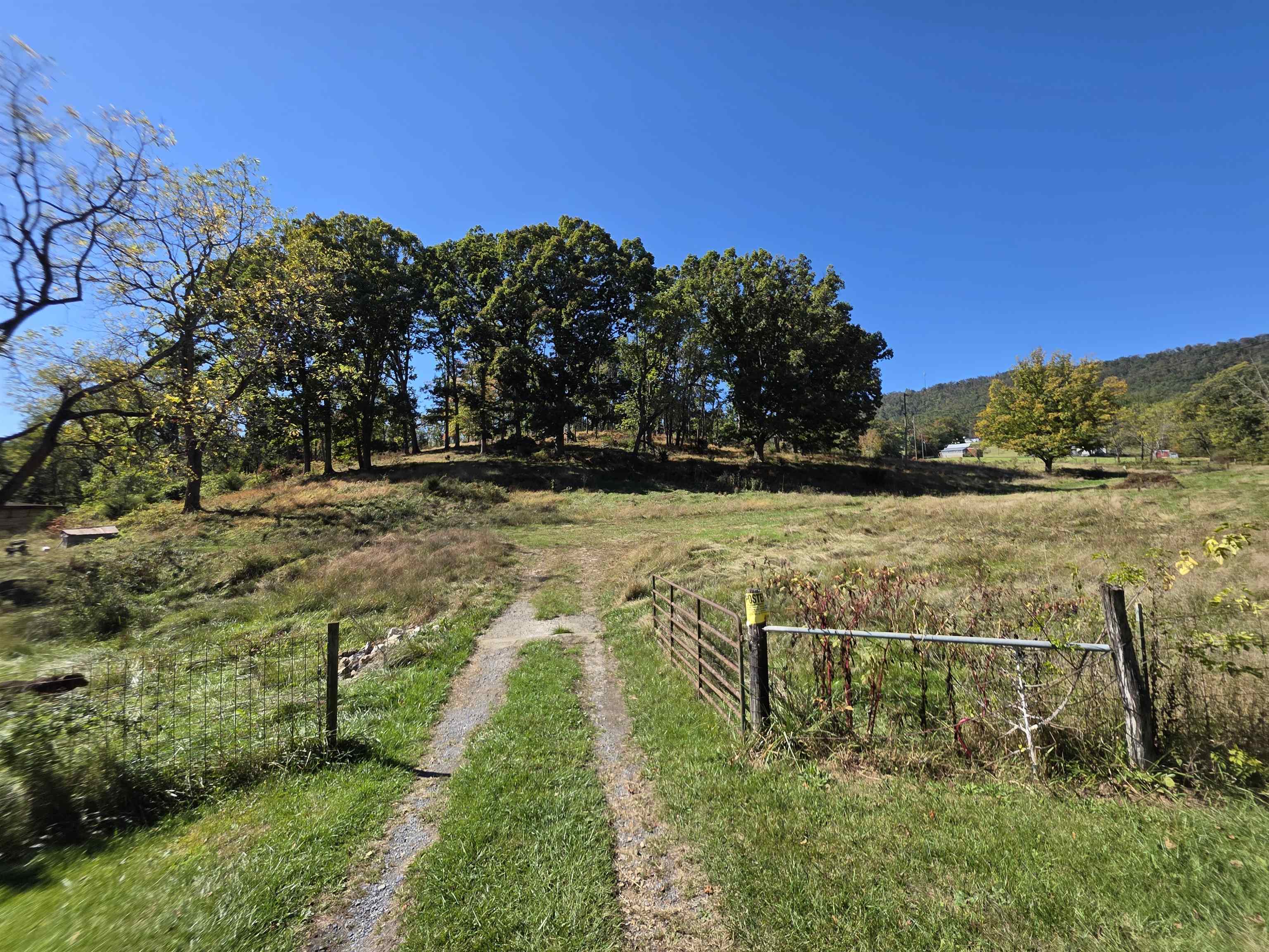 6596 MAYBERRY RD, SINGERS GLEN, Virginia 22850, 4 Bedrooms Bedrooms, ,1 BathroomBathrooms,Residential,6596 MAYBERRY RD,665453 MLS # 665453 6596 MAYBERRY RD, SINGERS GLEN, Virginia 22850, 4 Bedrooms Bedrooms, ,1 BathroomBathrooms,Residential,6596 MAYBERRY RD,665453 MLS # 665453