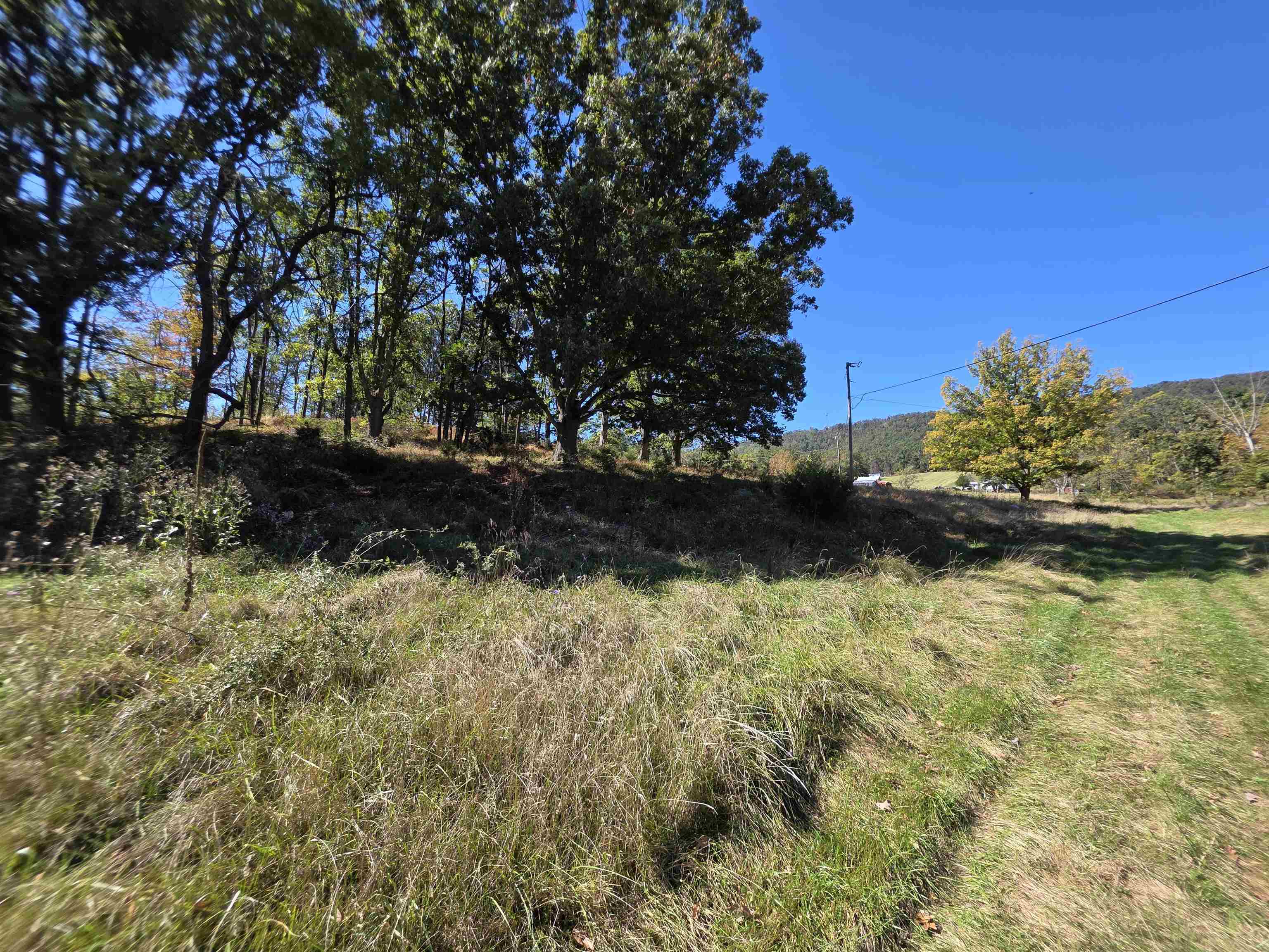 6596 MAYBERRY RD, SINGERS GLEN, Virginia 22850, 4 Bedrooms Bedrooms, ,1 BathroomBathrooms,Residential,6596 MAYBERRY RD,665453 MLS # 665453 6596 MAYBERRY RD, SINGERS GLEN, Virginia 22850, 4 Bedrooms Bedrooms, ,1 BathroomBathrooms,Residential,6596 MAYBERRY RD,665453 MLS # 665453