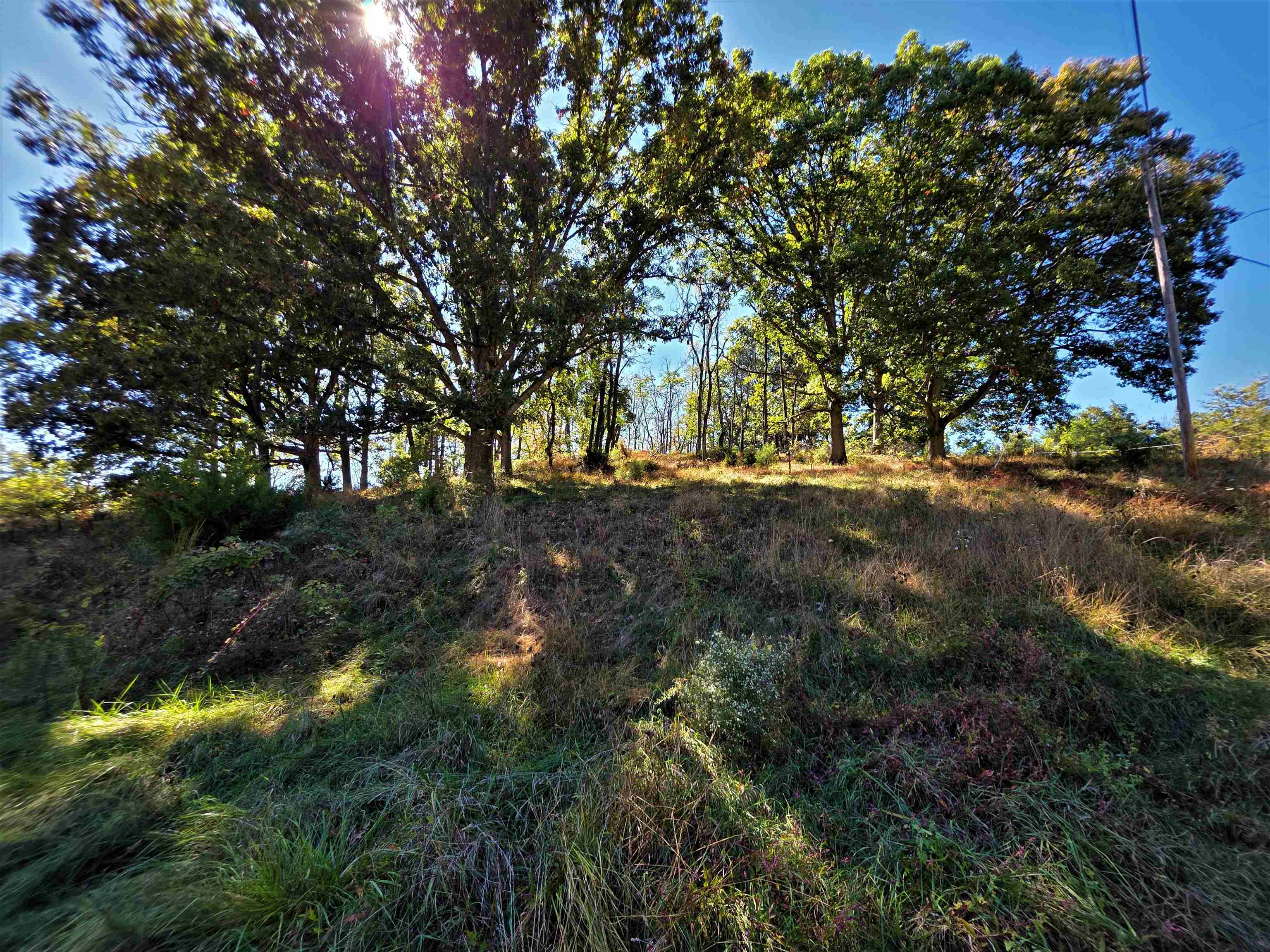 6596 MAYBERRY RD, SINGERS GLEN, Virginia 22850, 4 Bedrooms Bedrooms, ,1 BathroomBathrooms,Residential,6596 MAYBERRY RD,665453 MLS # 665453 6596 MAYBERRY RD, SINGERS GLEN, Virginia 22850, 4 Bedrooms Bedrooms, ,1 BathroomBathrooms,Residential,6596 MAYBERRY RD,665453 MLS # 665453