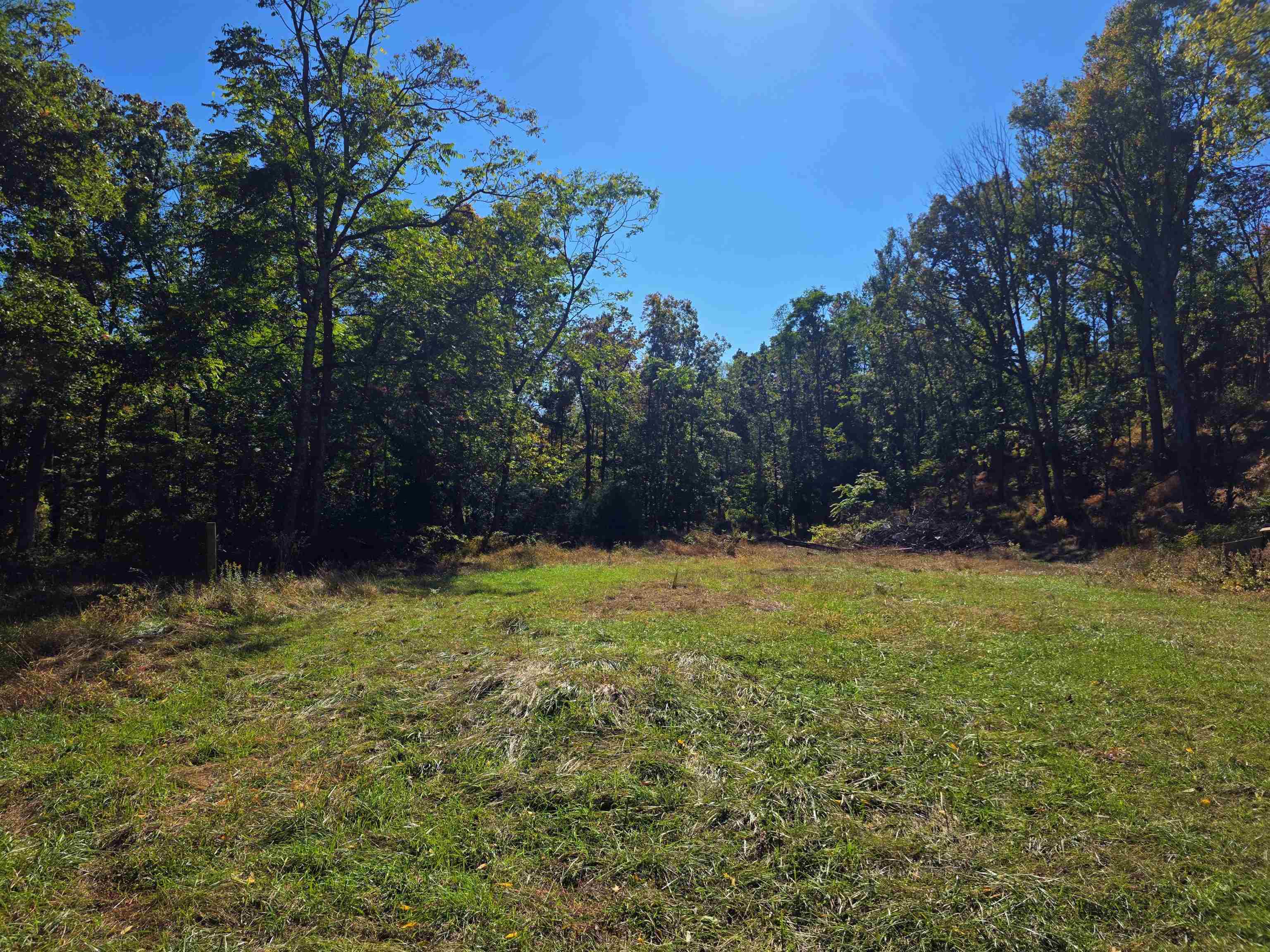 6596 MAYBERRY RD, SINGERS GLEN, Virginia 22850, 4 Bedrooms Bedrooms, ,1 BathroomBathrooms,Residential,6596 MAYBERRY RD,665453 MLS # 665453 6596 MAYBERRY RD, SINGERS GLEN, Virginia 22850, 4 Bedrooms Bedrooms, ,1 BathroomBathrooms,Residential,6596 MAYBERRY RD,665453 MLS # 665453