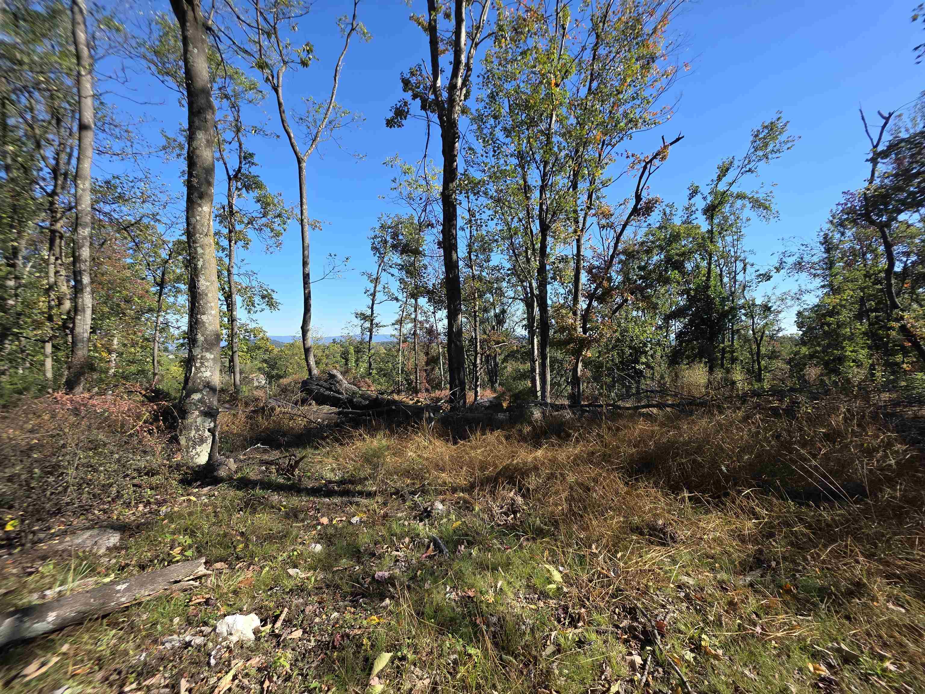 6596 MAYBERRY RD, SINGERS GLEN, Virginia 22850, 4 Bedrooms Bedrooms, ,1 BathroomBathrooms,Residential,6596 MAYBERRY RD,665453 MLS # 665453 6596 MAYBERRY RD, SINGERS GLEN, Virginia 22850, 4 Bedrooms Bedrooms, ,1 BathroomBathrooms,Residential,6596 MAYBERRY RD,665453 MLS # 665453