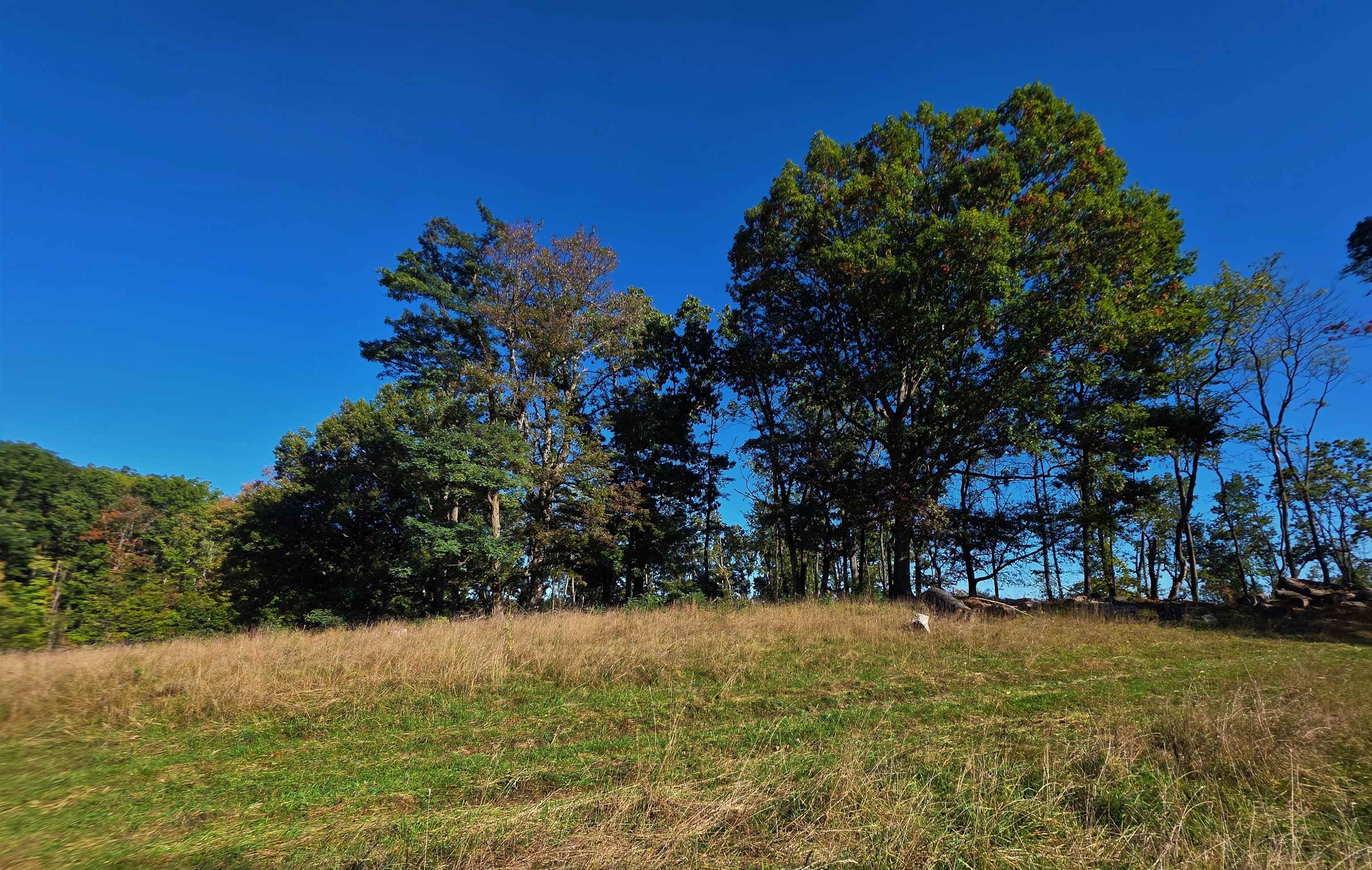 6596 MAYBERRY RD, SINGERS GLEN, Virginia 22850, 4 Bedrooms Bedrooms, ,1 BathroomBathrooms,Residential,6596 MAYBERRY RD,665453 MLS # 665453 6596 MAYBERRY RD, SINGERS GLEN, Virginia 22850, 4 Bedrooms Bedrooms, ,1 BathroomBathrooms,Residential,6596 MAYBERRY RD,665453 MLS # 665453
