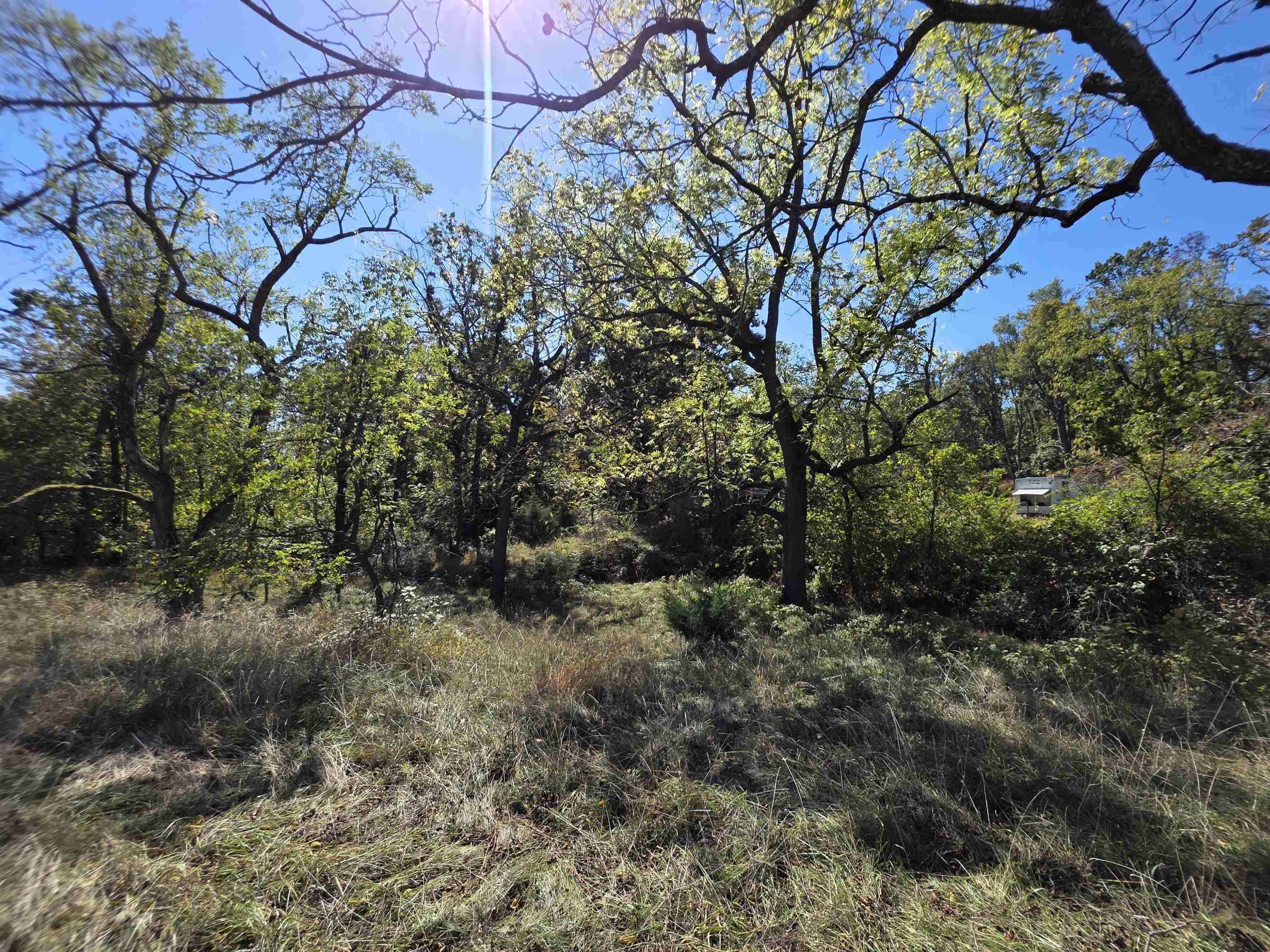 6596 MAYBERRY RD, SINGERS GLEN, Virginia 22850, 4 Bedrooms Bedrooms, ,1 BathroomBathrooms,Residential,6596 MAYBERRY RD,665453 MLS # 665453 6596 MAYBERRY RD, SINGERS GLEN, Virginia 22850, 4 Bedrooms Bedrooms, ,1 BathroomBathrooms,Residential,6596 MAYBERRY RD,665453 MLS # 665453