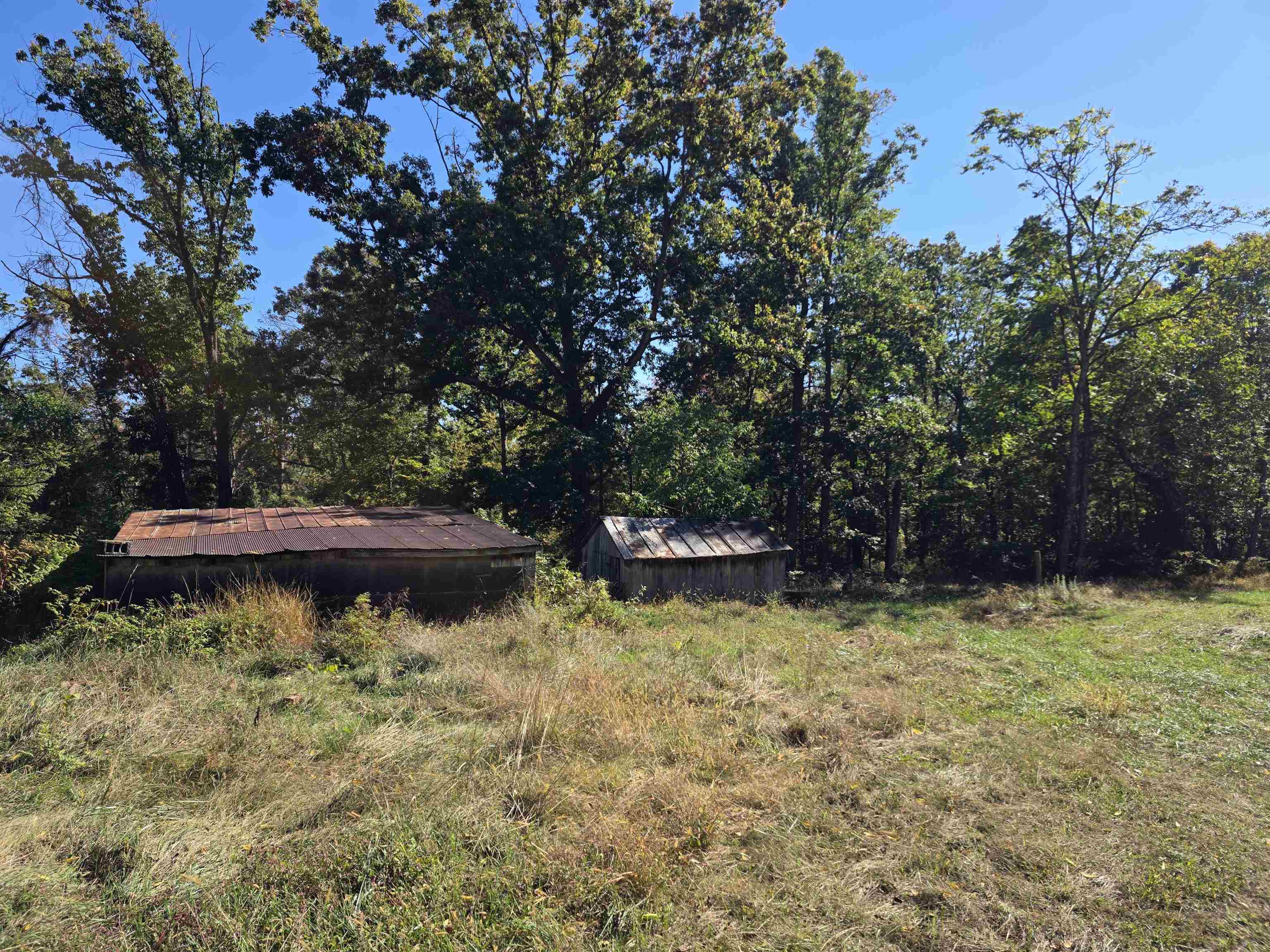 6596 MAYBERRY RD, SINGERS GLEN, Virginia 22850, 4 Bedrooms Bedrooms, ,1 BathroomBathrooms,Residential,6596 MAYBERRY RD,665453 MLS # 665453 6596 MAYBERRY RD, SINGERS GLEN, Virginia 22850, 4 Bedrooms Bedrooms, ,1 BathroomBathrooms,Residential,6596 MAYBERRY RD,665453 MLS # 665453