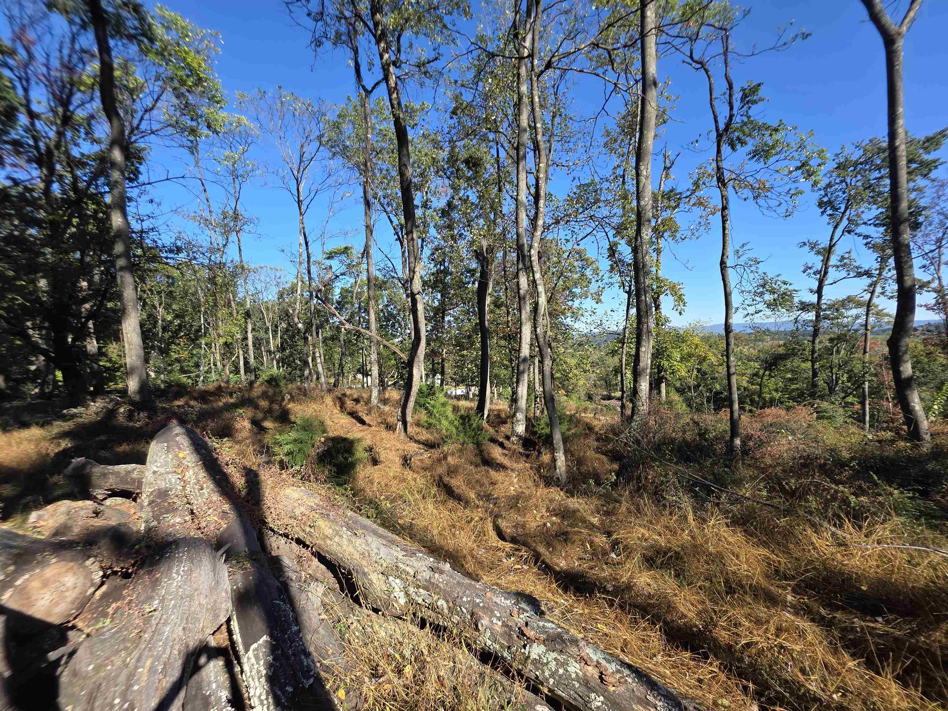 6596 MAYBERRY RD, SINGERS GLEN, Virginia 22850, 4 Bedrooms Bedrooms, ,1 BathroomBathrooms,Residential,6596 MAYBERRY RD,665453 MLS # 665453 6596 MAYBERRY RD, SINGERS GLEN, Virginia 22850, 4 Bedrooms Bedrooms, ,1 BathroomBathrooms,Residential,6596 MAYBERRY RD,665453 MLS # 665453