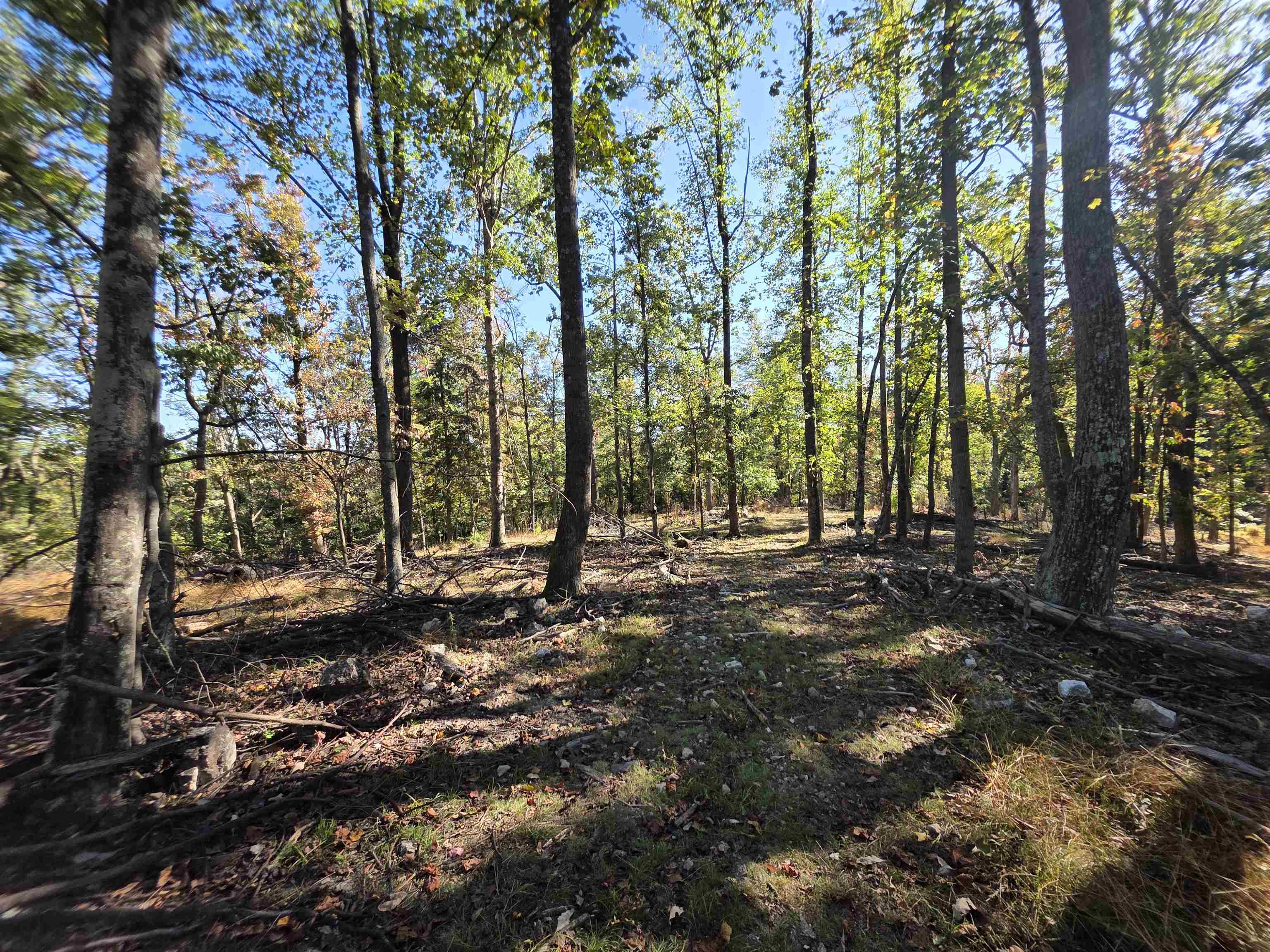 6596 MAYBERRY RD, SINGERS GLEN, Virginia 22850, 4 Bedrooms Bedrooms, ,1 BathroomBathrooms,Residential,6596 MAYBERRY RD,665453 MLS # 665453 6596 MAYBERRY RD, SINGERS GLEN, Virginia 22850, 4 Bedrooms Bedrooms, ,1 BathroomBathrooms,Residential,6596 MAYBERRY RD,665453 MLS # 665453