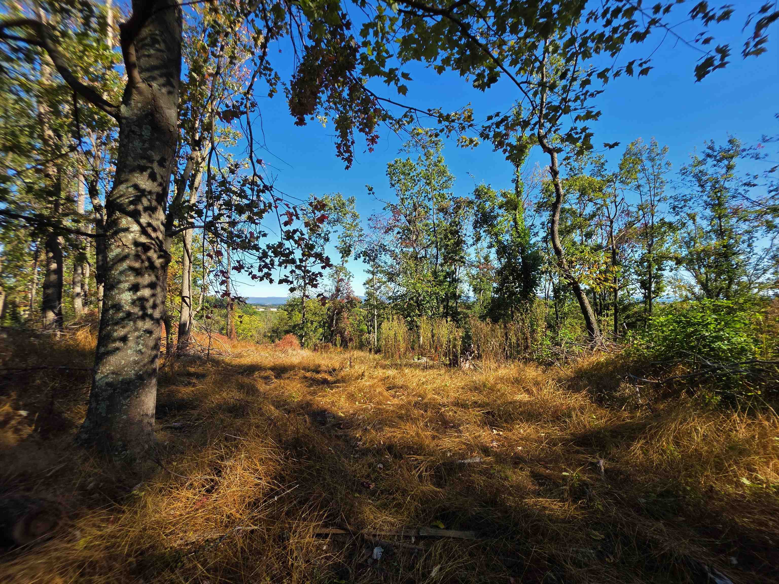 6596 MAYBERRY RD, SINGERS GLEN, Virginia 22850, 4 Bedrooms Bedrooms, ,1 BathroomBathrooms,Residential,6596 MAYBERRY RD,665453 MLS # 665453 6596 MAYBERRY RD, SINGERS GLEN, Virginia 22850, 4 Bedrooms Bedrooms, ,1 BathroomBathrooms,Residential,6596 MAYBERRY RD,665453 MLS # 665453