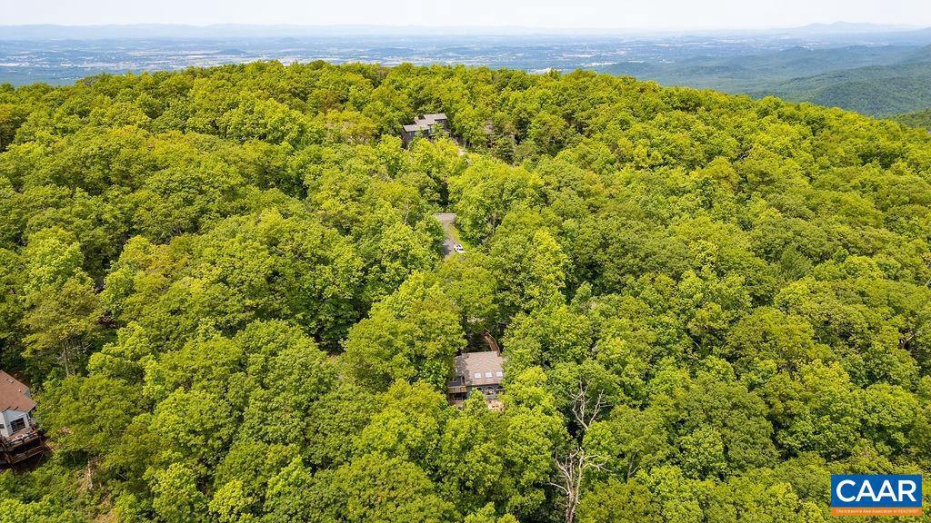 32 STONY COVE LN, WINTERGREEN RESORT, Virginia 22967, 4 Bedrooms Bedrooms, ,4 BathroomsBathrooms,Residential,For sale,32 STONY COVE LN,665428 MLS # 665428