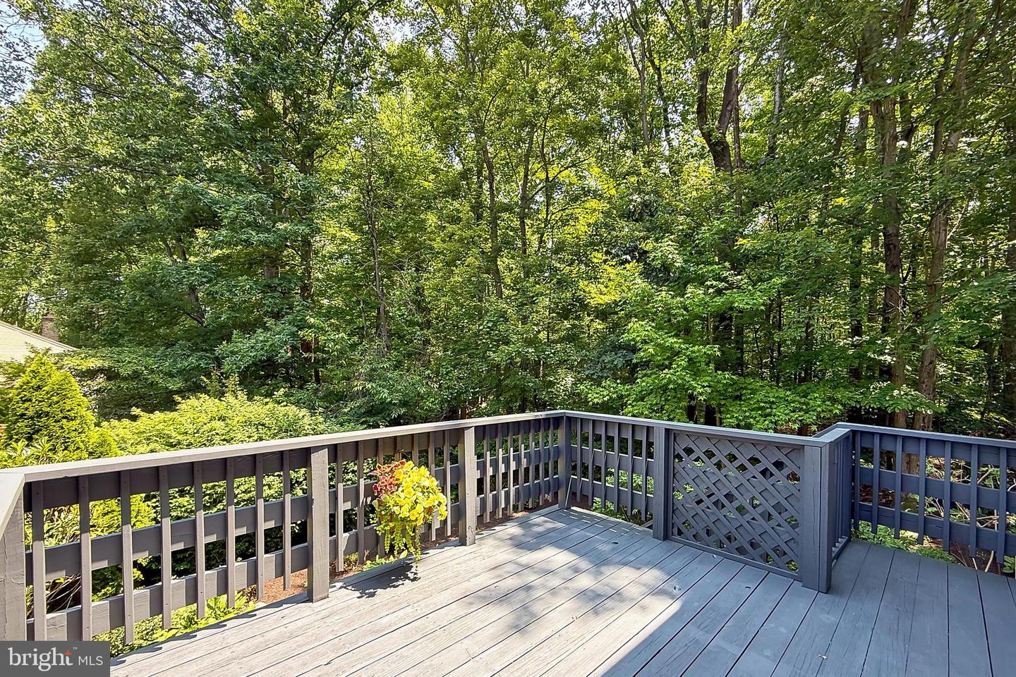 9200 DOROTHY LN, SPRINGFIELD, Virginia 22153, 5 Bedrooms Bedrooms, ,3 BathroomsBathrooms,Residential,For sale,9200 DOROTHY LN,VAFX2242992 MLS # VAFX2242992