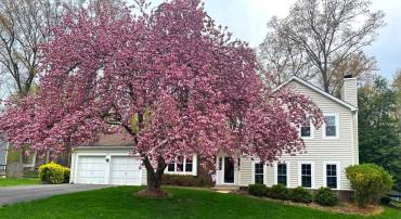5911 OAK LEATHER DR, BURKE, Virginia 22015, 4 Bedrooms Bedrooms, ,2 BathroomsBathrooms,Residential,For sale,5911 OAK LEATHER DR,VAFX2243006 MLS # VAFX2243006