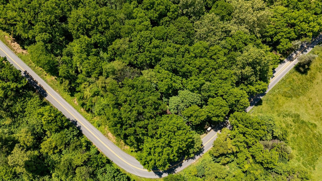 2410 MAUZY ATHLONE RD, BROADWAY, Virginia 22815, ,Land,2410 MAUZY ATHLONE RD,665486 MLS # 665486