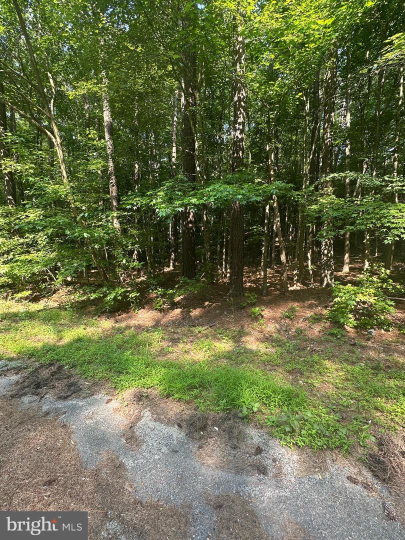 DECLARATION DRIVE, MONTROSS, Virginia 22520, ,Land,For sale,DECLARATION DRIVE,VAWE2009060 MLS # VAWE2009060