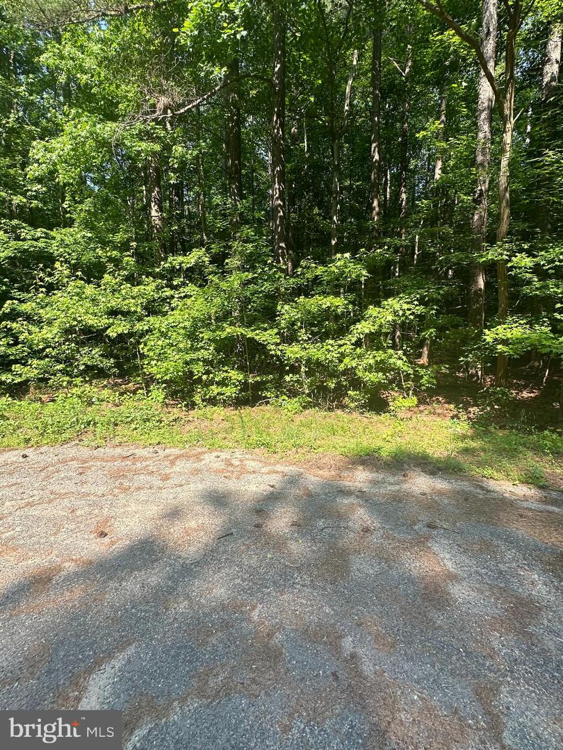 DECLARATION DRIVE, MONTROSS, Virginia 22520, ,Land,For sale,DECLARATION DRIVE,VAWE2009060 MLS # VAWE2009060