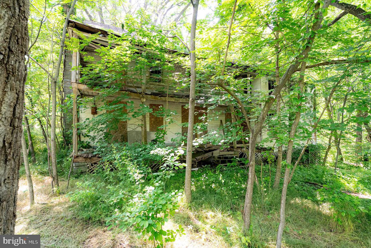 2410 MAUZY ATHLONE RD, BROADWAY, Virginia 22815, ,Land,For sale,2410 MAUZY ATHLONE RD,VARO2002368 MLS # VARO2002368