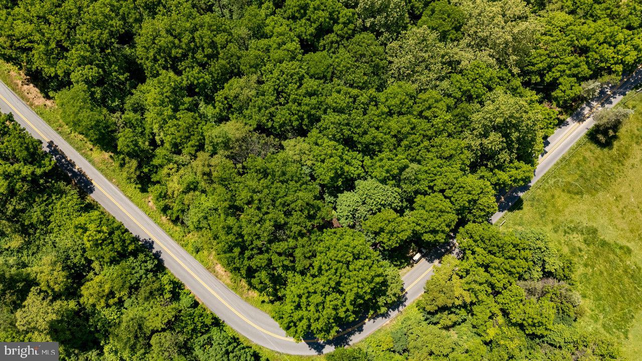 2410 MAUZY ATHLONE RD, BROADWAY, Virginia 22815, ,Land,For sale,2410 MAUZY ATHLONE RD,VARO2002368 MLS # VARO2002368