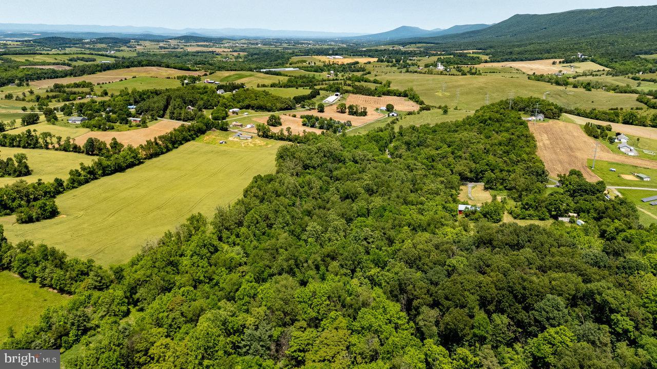 2410 MAUZY ATHLONE RD, BROADWAY, Virginia 22815, ,Land,For sale,2410 MAUZY ATHLONE RD,VARO2002368 MLS # VARO2002368