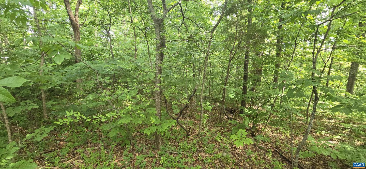 14314 WILLIS CT, ORANGE, Virginia 22960, ,Land,For sale,14314 WILLIS CT,665479 MLS # 665479