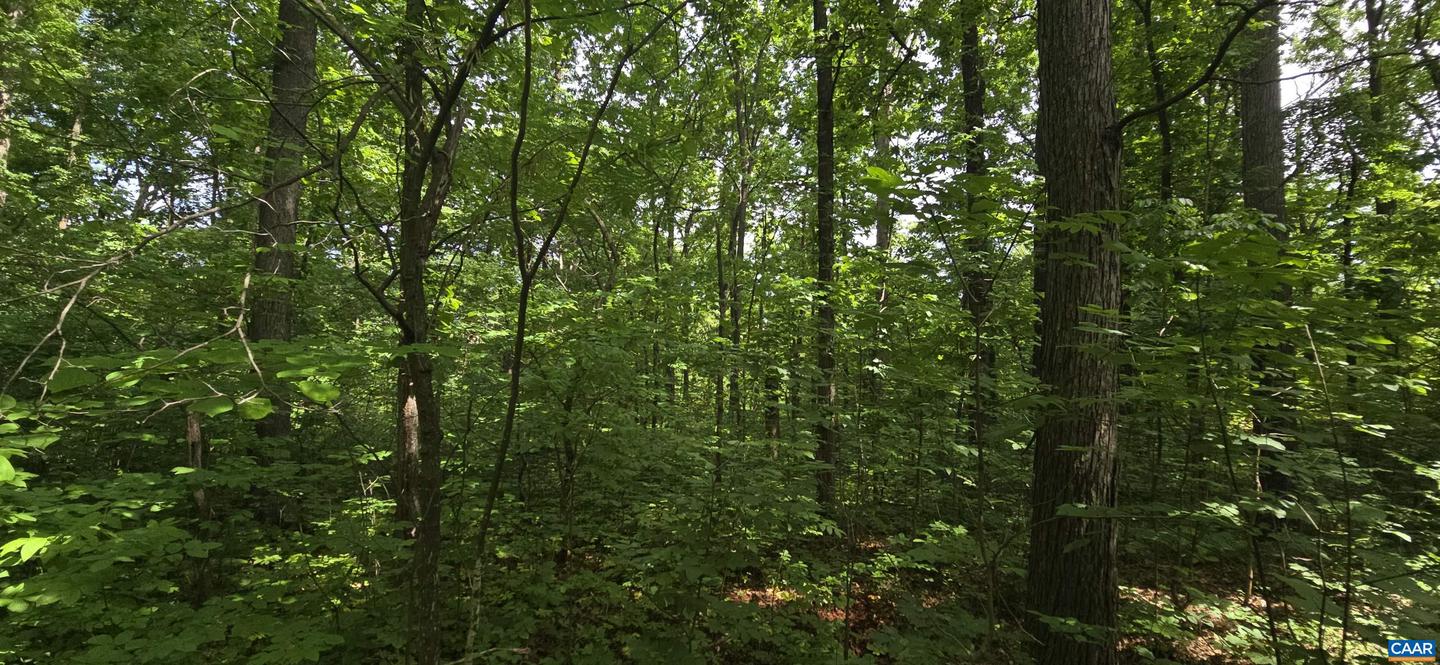 14314 WILLIS CT, ORANGE, Virginia 22960, ,Land,For sale,14314 WILLIS CT,665479 MLS # 665479
