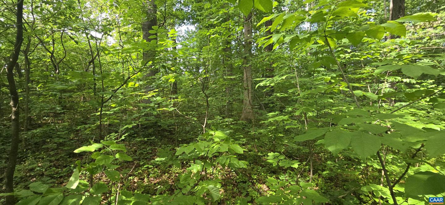 14314 WILLIS CT, ORANGE, Virginia 22960, ,Land,For sale,14314 WILLIS CT,665479 MLS # 665479