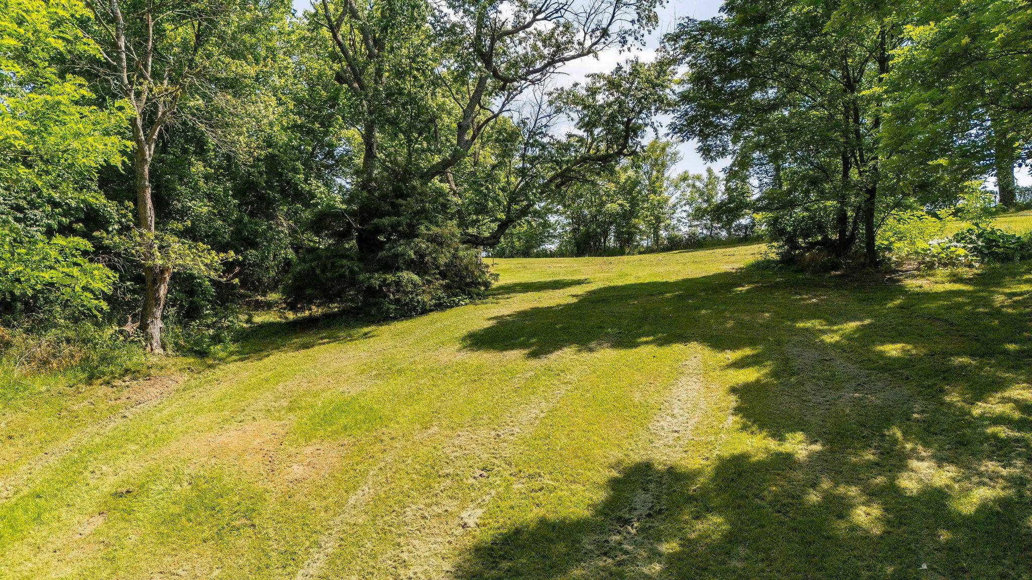 2003 RINACAS CORNER RD, SHENANDOAH, Virginia 22849, 4 Bedrooms Bedrooms, ,4 BathroomsBathrooms,Residential,2003 RINACAS CORNER RD,665484 MLS # 665484