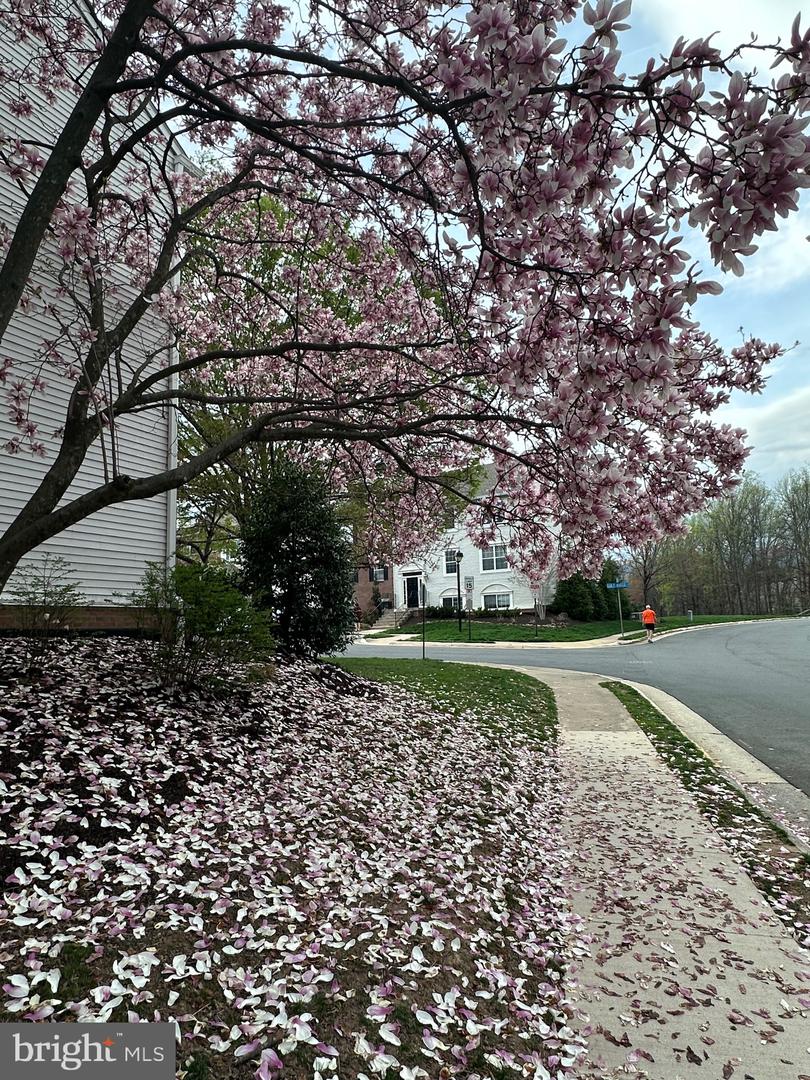 12000 GOLF RIDGE CT #102, FAIRFAX, Virginia 22033, 2 Bedrooms Bedrooms, ,2 BathroomsBathrooms,Residential,For sale,12000 GOLF RIDGE CT #102,VAFX2236612 MLS # VAFX2236612
