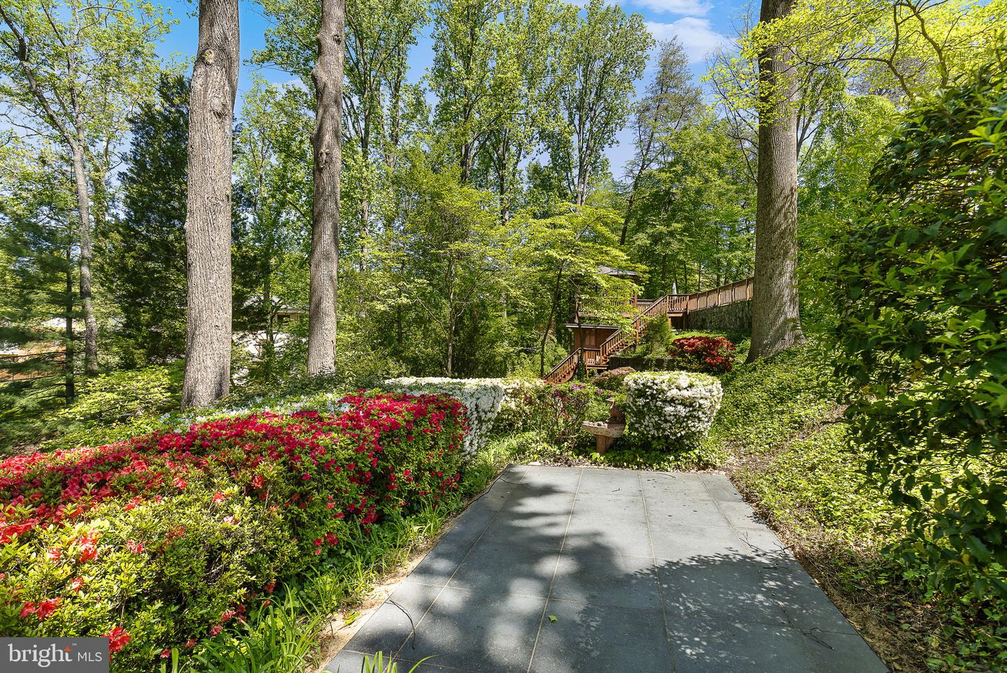3504 PINETREE TER, FALLS CHURCH, Virginia 22041, 6 Bedrooms Bedrooms, ,3 BathroomsBathrooms,Residential,For sale,3504 PINETREE TER,VAFX2238338 MLS # VAFX2238338