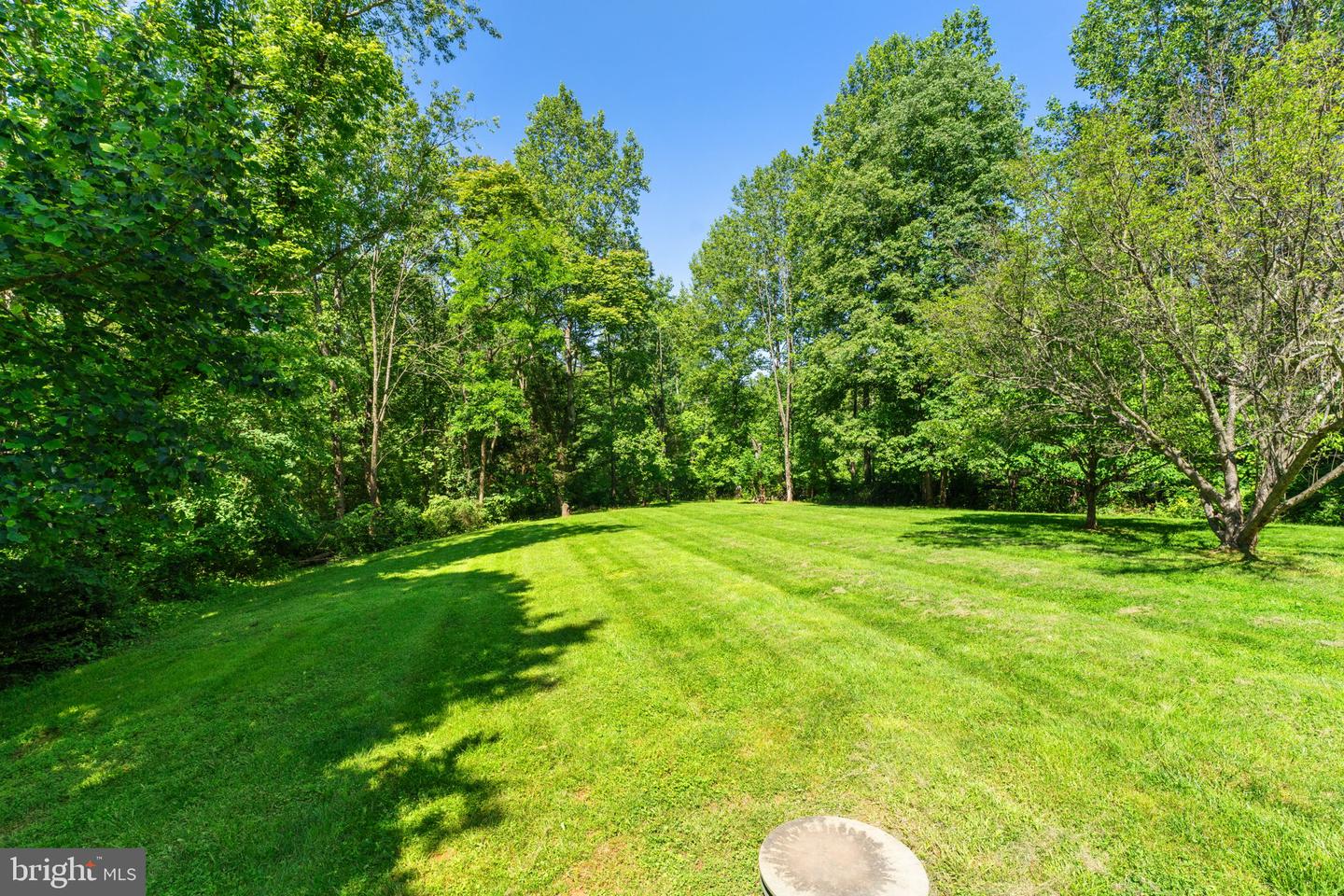 4229 JACKSON MILL RD, HAYMARKET, Virginia 20169, 4 Bedrooms Bedrooms, ,2 BathroomsBathrooms,Residential,For sale,4229 JACKSON MILL RD,VAPW2093924 MLS # VAPW2093924