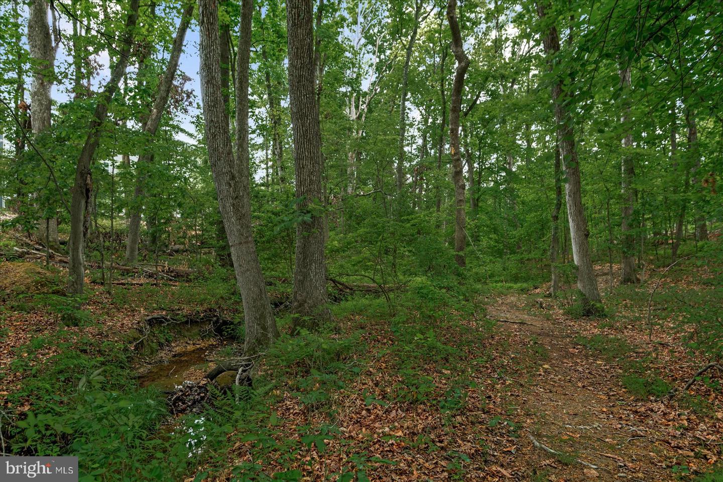 6607 GOLDEN PHEASANT RUN, FREDERICKSBURG, Virginia 22407, 3 Bedrooms Bedrooms, ,2 BathroomsBathrooms,Residential,For sale,6607 GOLDEN PHEASANT RUN,VASP2032892 MLS # VASP2032892