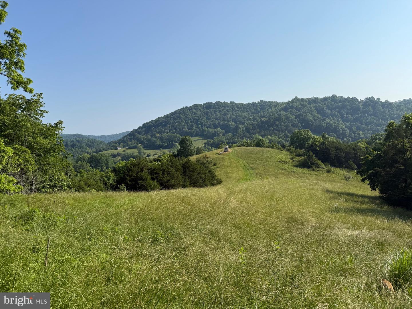 TBD BOULDER LN, DUFFIELD, Virginia 24244, ,Farm,For sale,TBD BOULDER LN,VASO2000008 MLS # VASO2000008