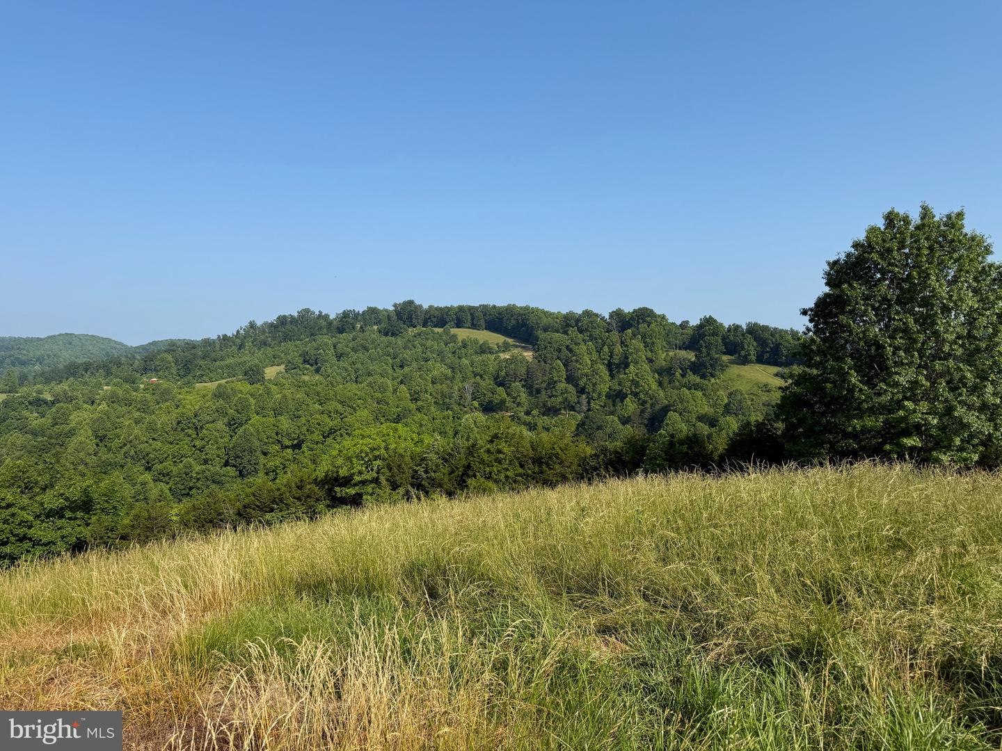 TBD BOULDER LN, DUFFIELD, Virginia 24244, ,Farm,For sale,TBD BOULDER LN,VASO2000008 MLS # VASO2000008