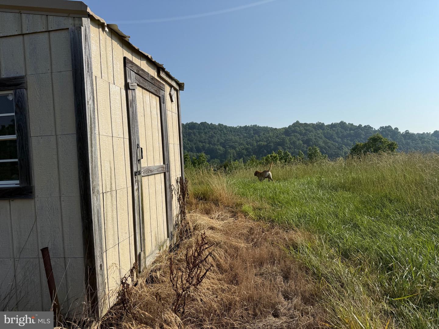 TBD BOULDER LN, DUFFIELD, Virginia 24244, ,Farm,For sale,TBD BOULDER LN,VASO2000008 MLS # VASO2000008