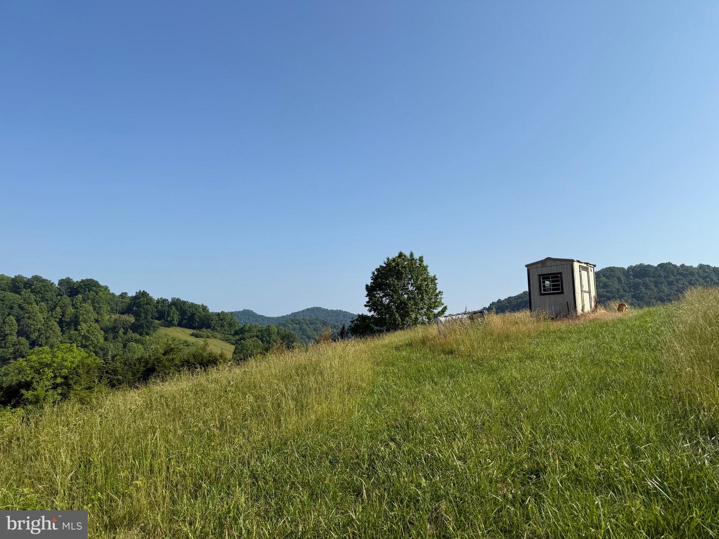 TBD BOULDER LN, DUFFIELD, Virginia 24244, ,Farm,For sale,TBD BOULDER LN,VASO2000008 MLS # VASO2000008